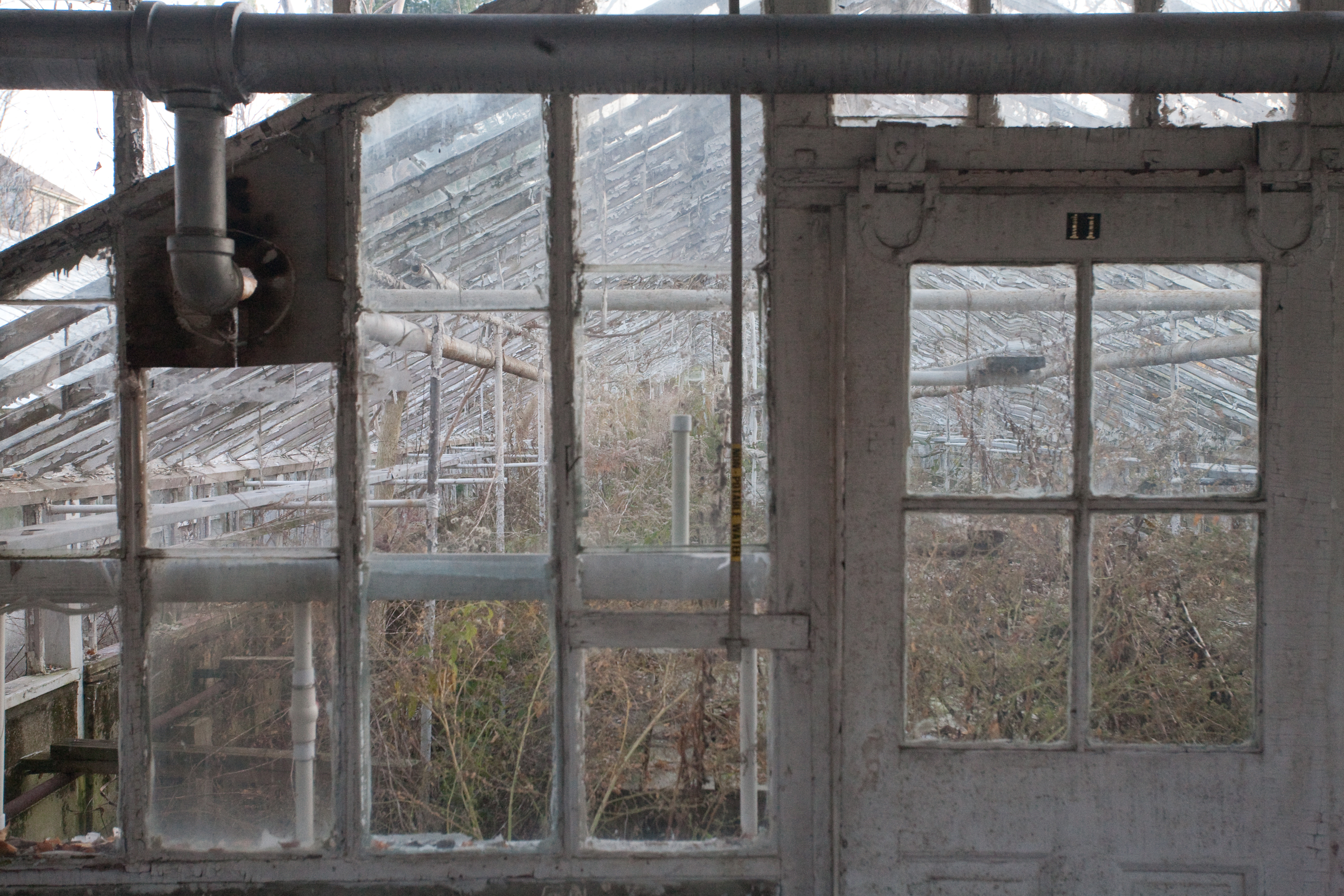 Abandoned greenhouse