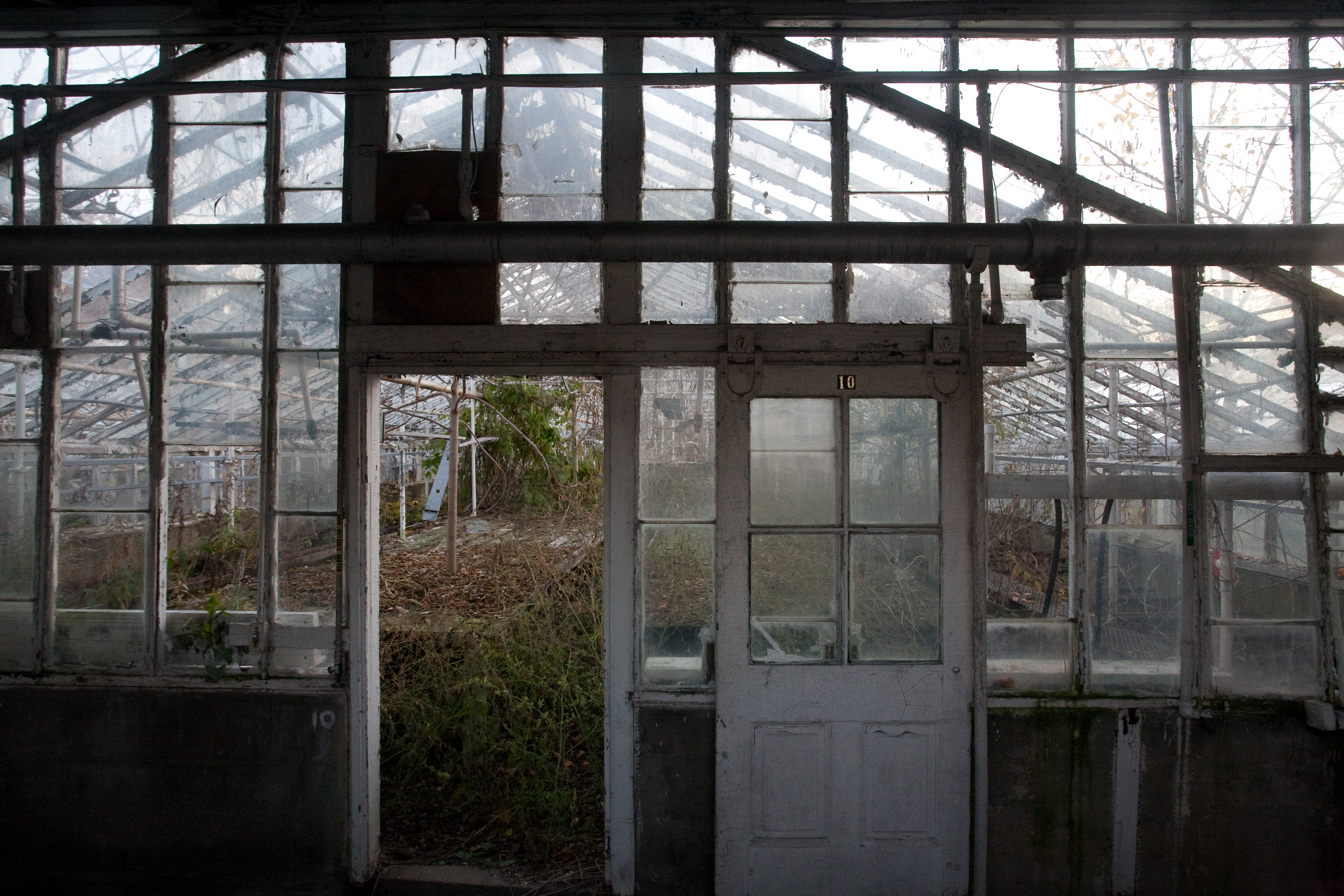 Abandoned greenhouse
