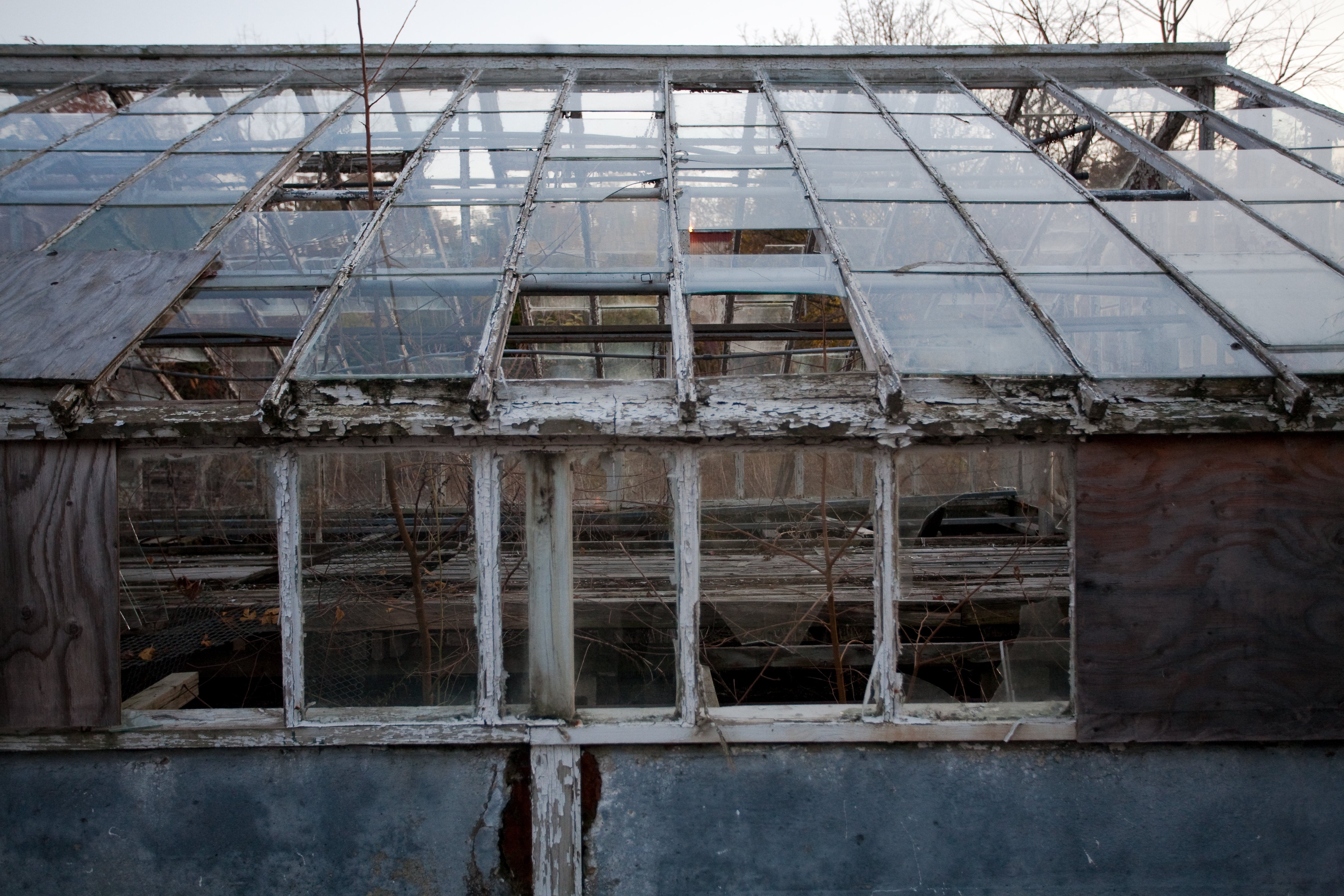 Abandoned greenhouse