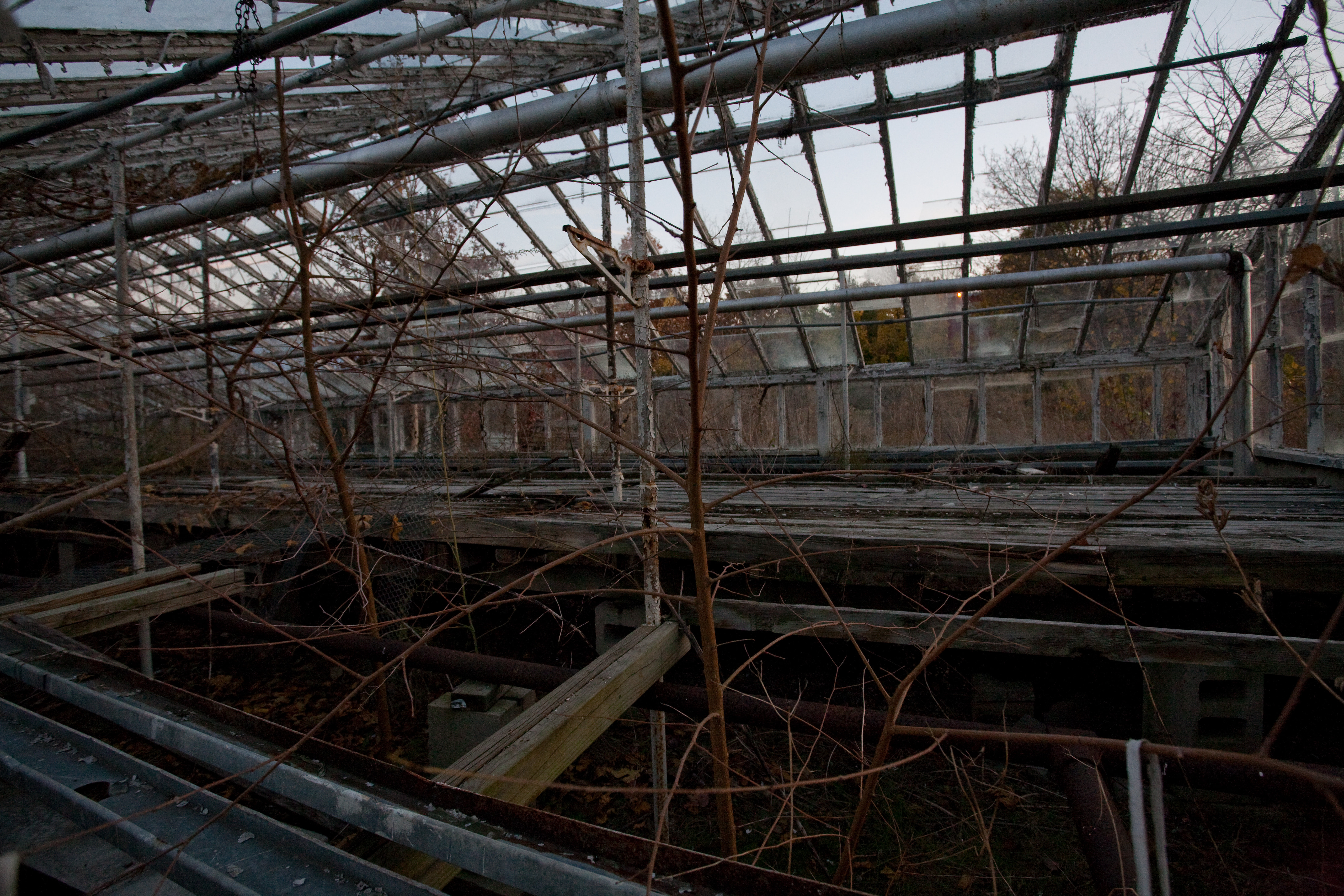 Abandoned greenhouse