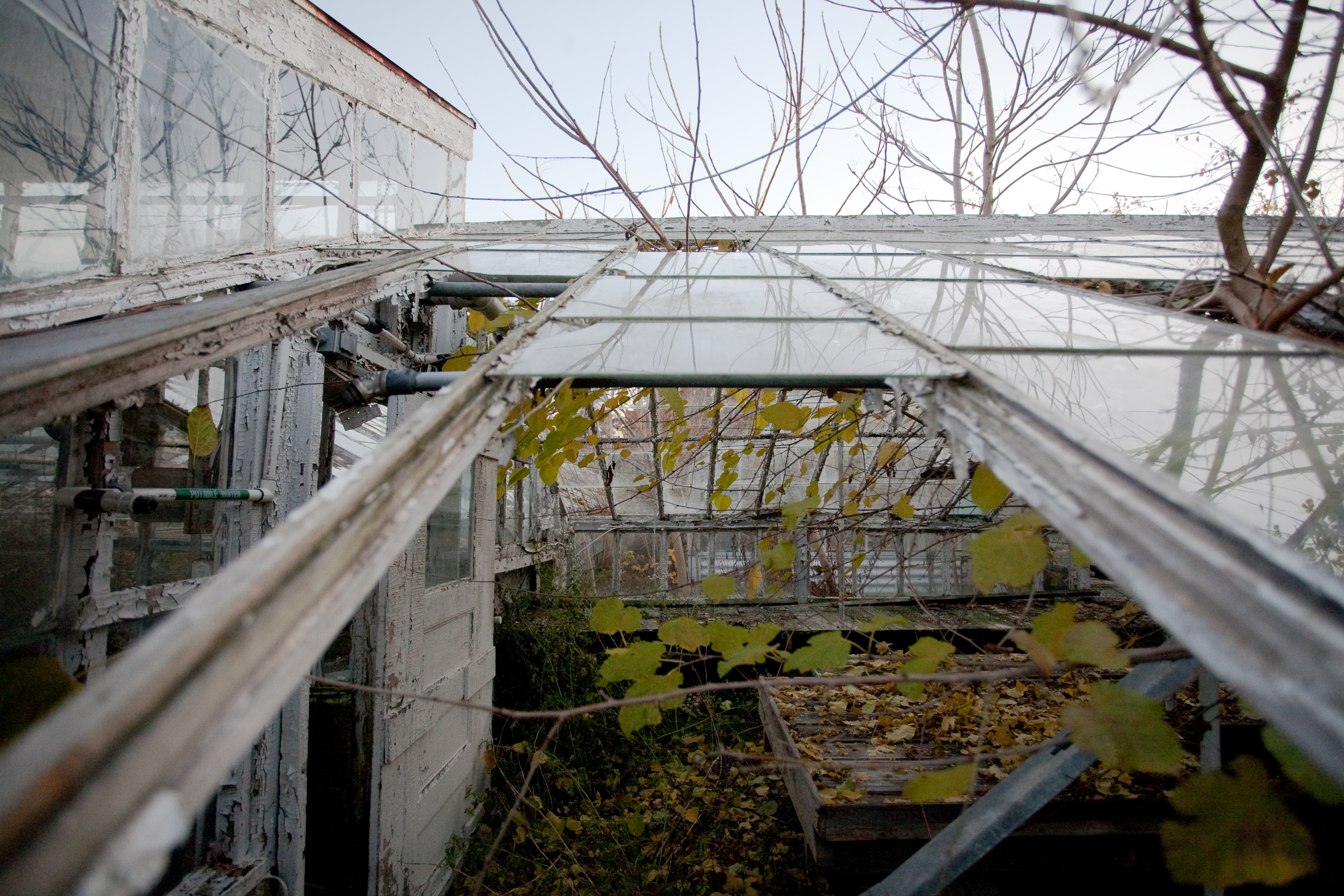 Abandoned greenhouse