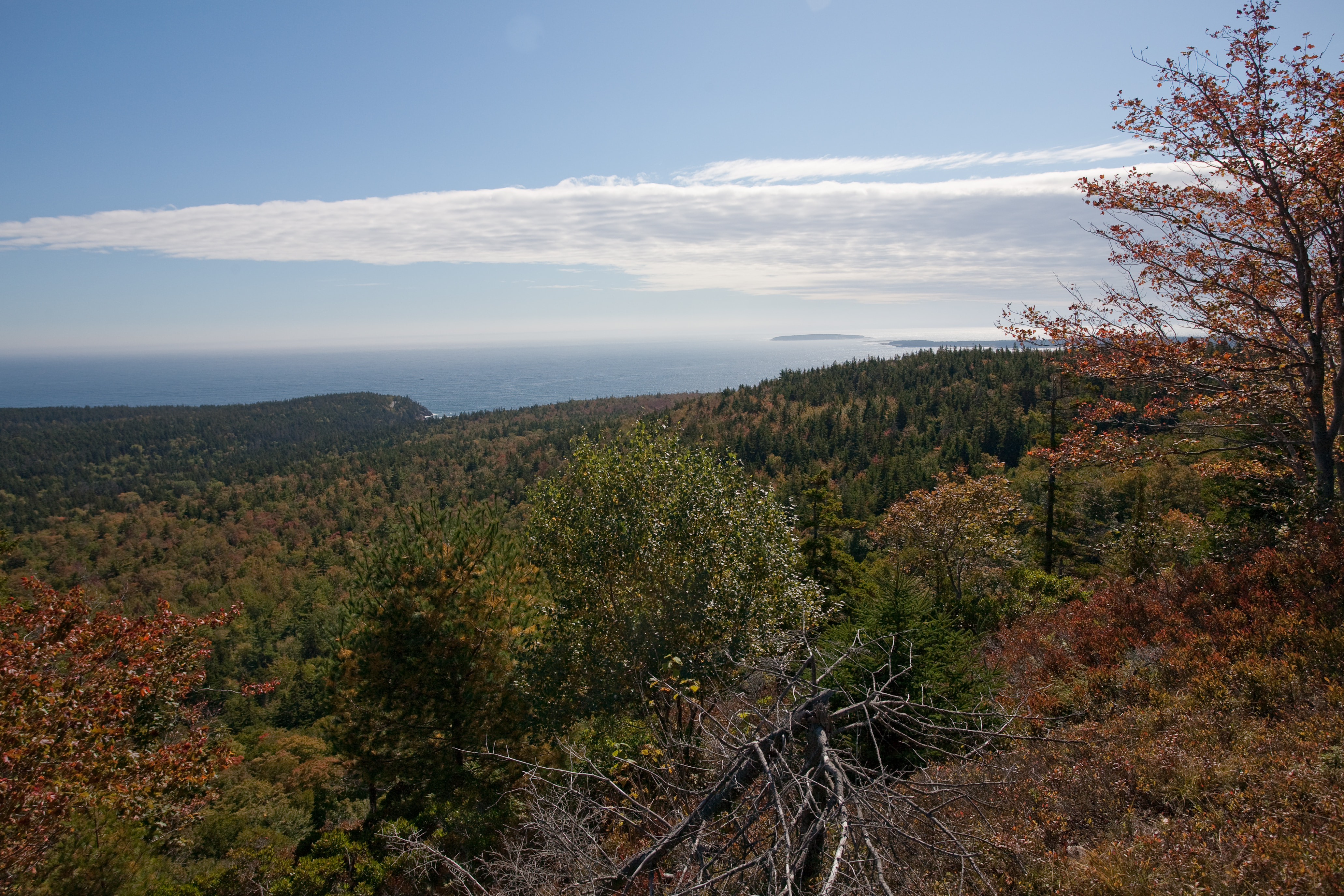 Atop Gorham Mountain