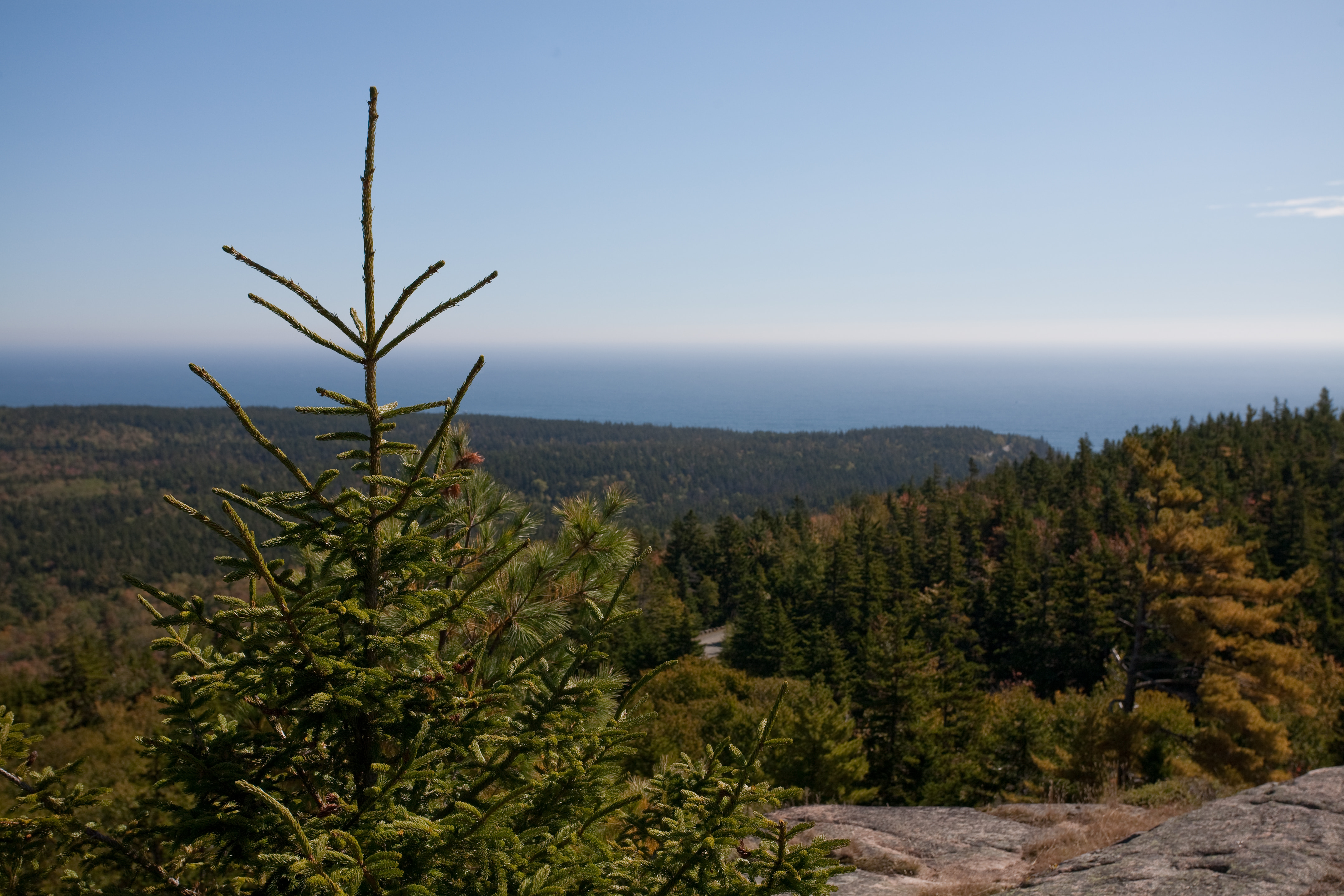 Atop Gorham Mountain
