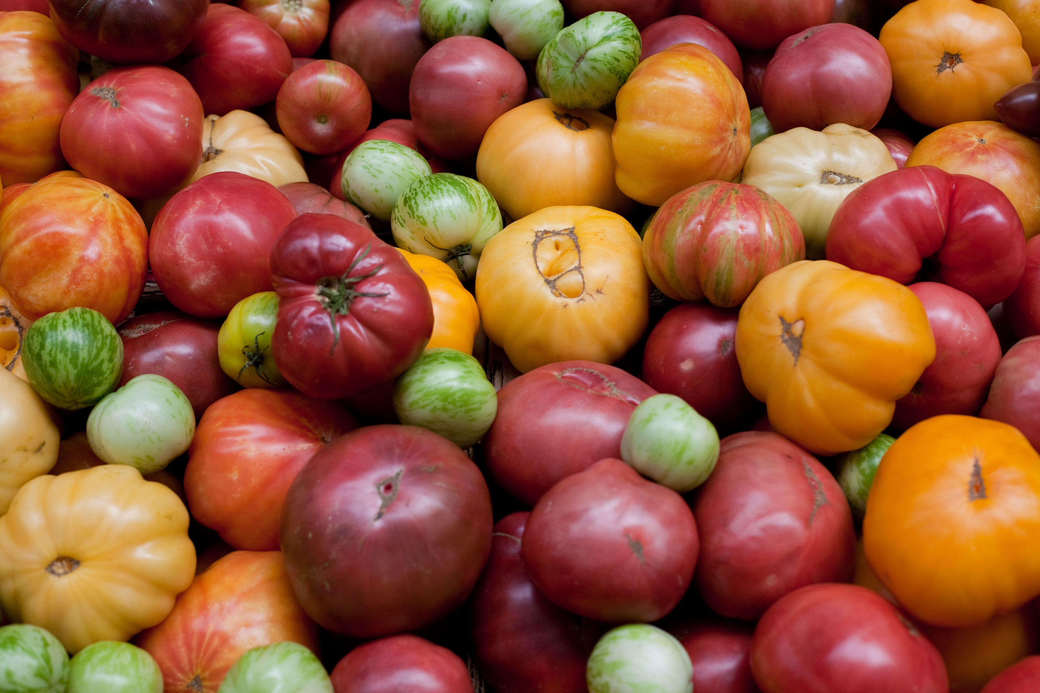 Ferry Plaza farmer's market