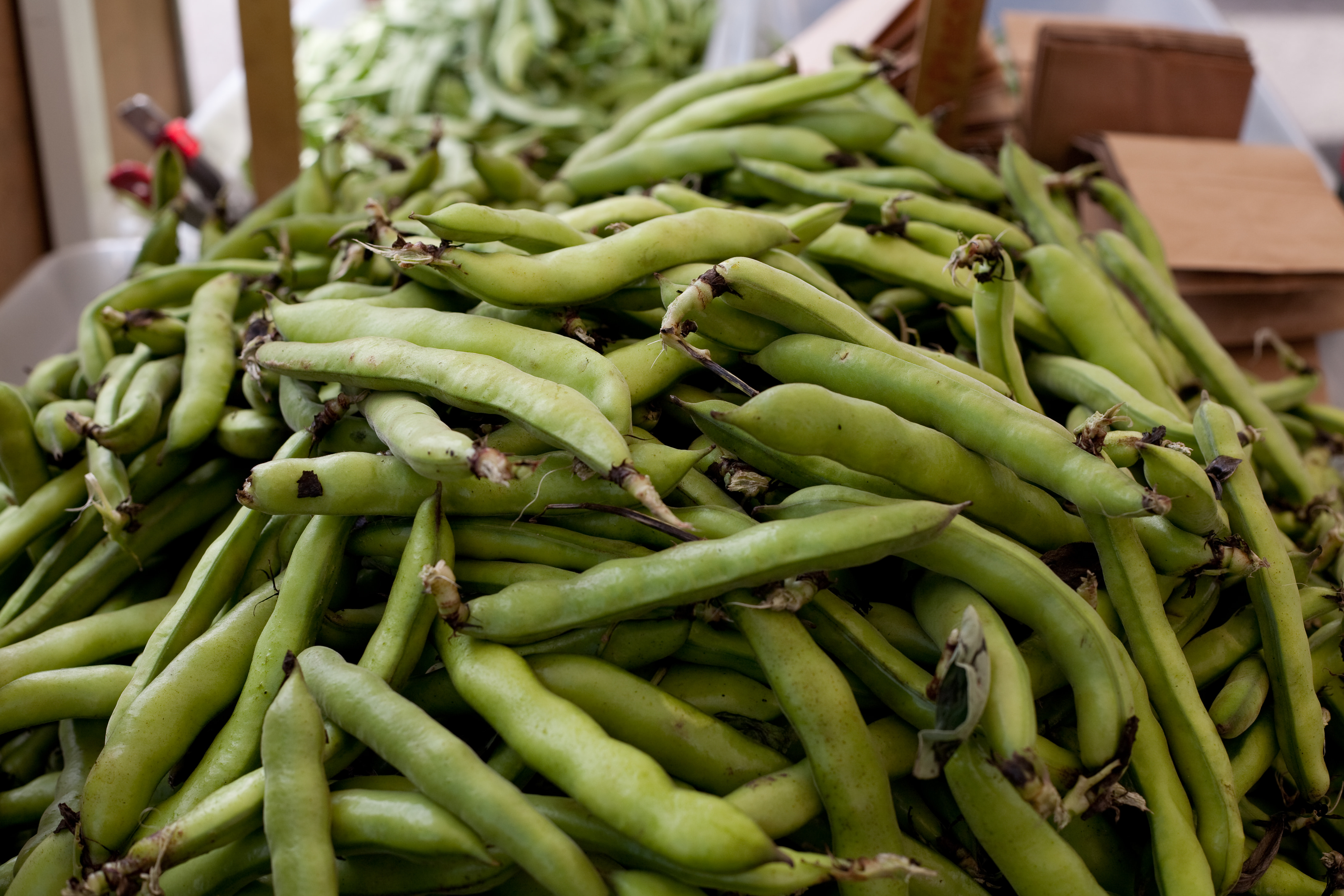 Ferry Plaza farmer's market