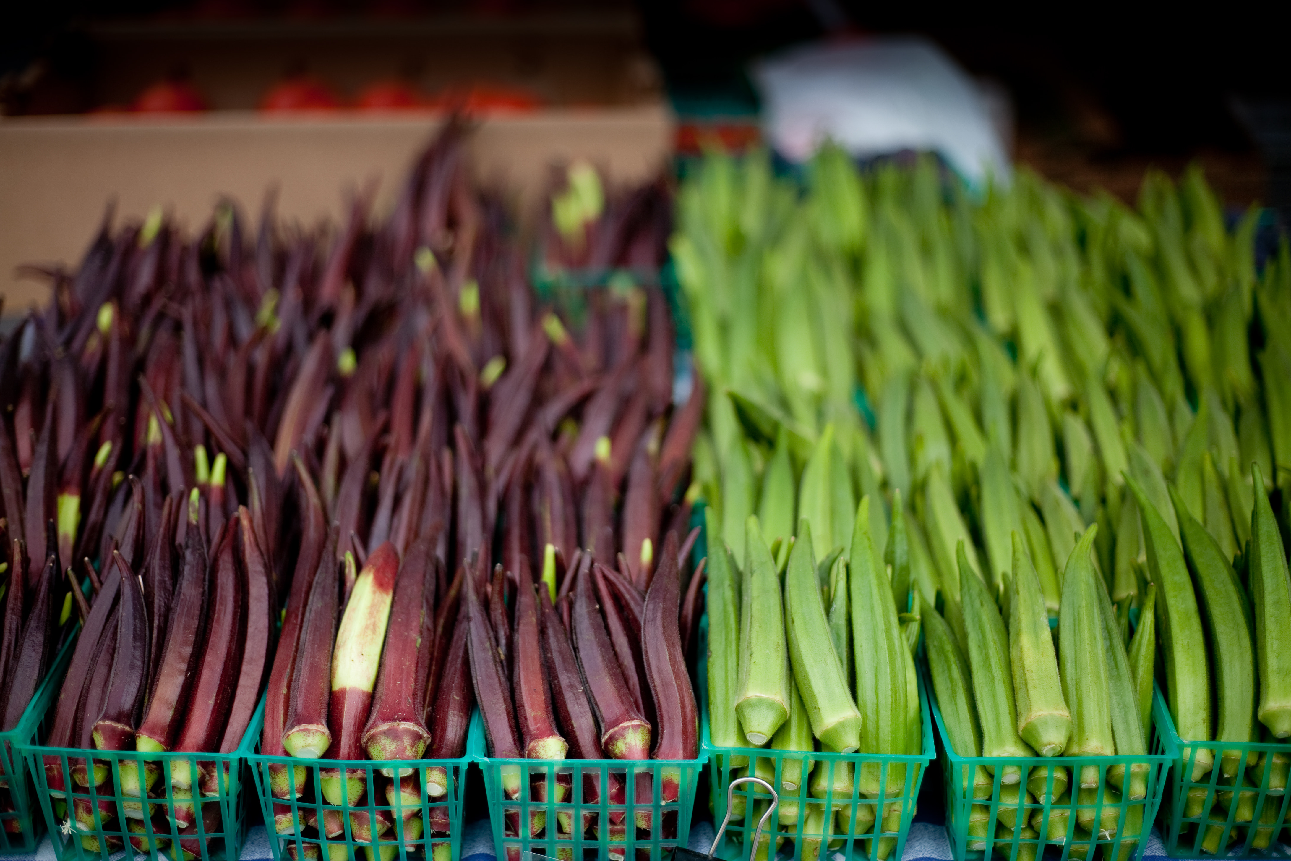 Ferry Plaza farmer's market