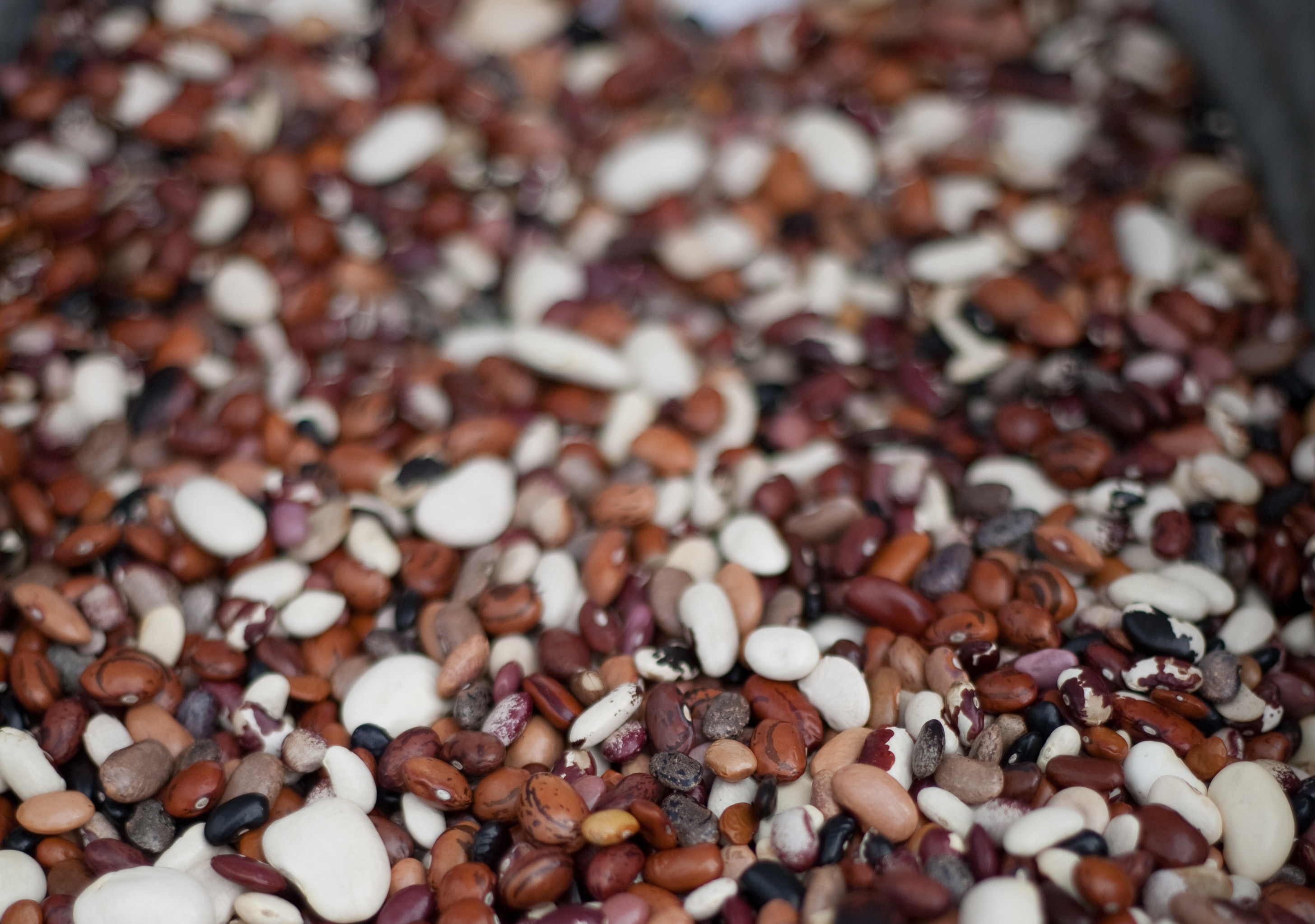 Ferry Plaza farmer's market