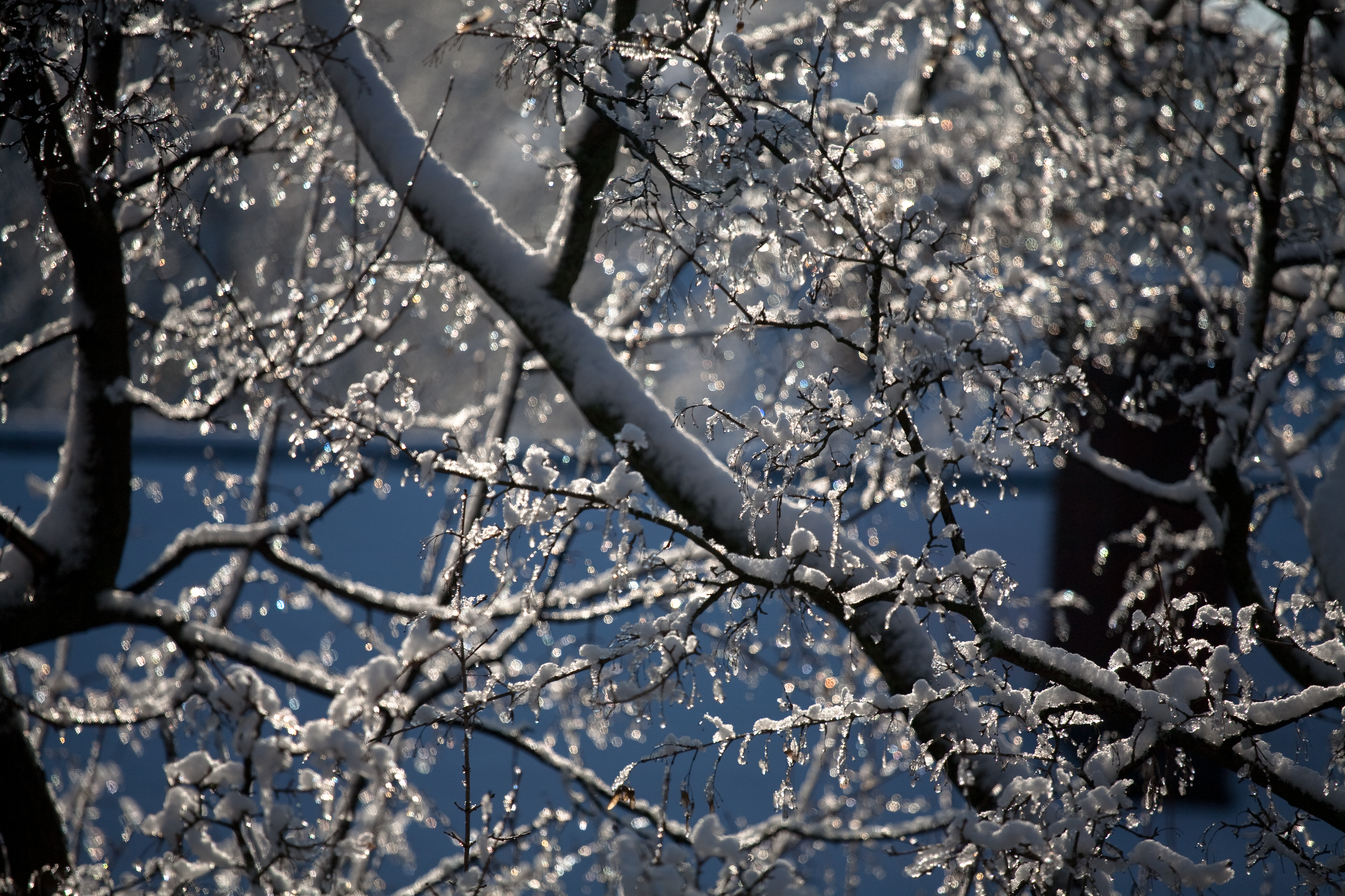 First snowstorm, November 2009