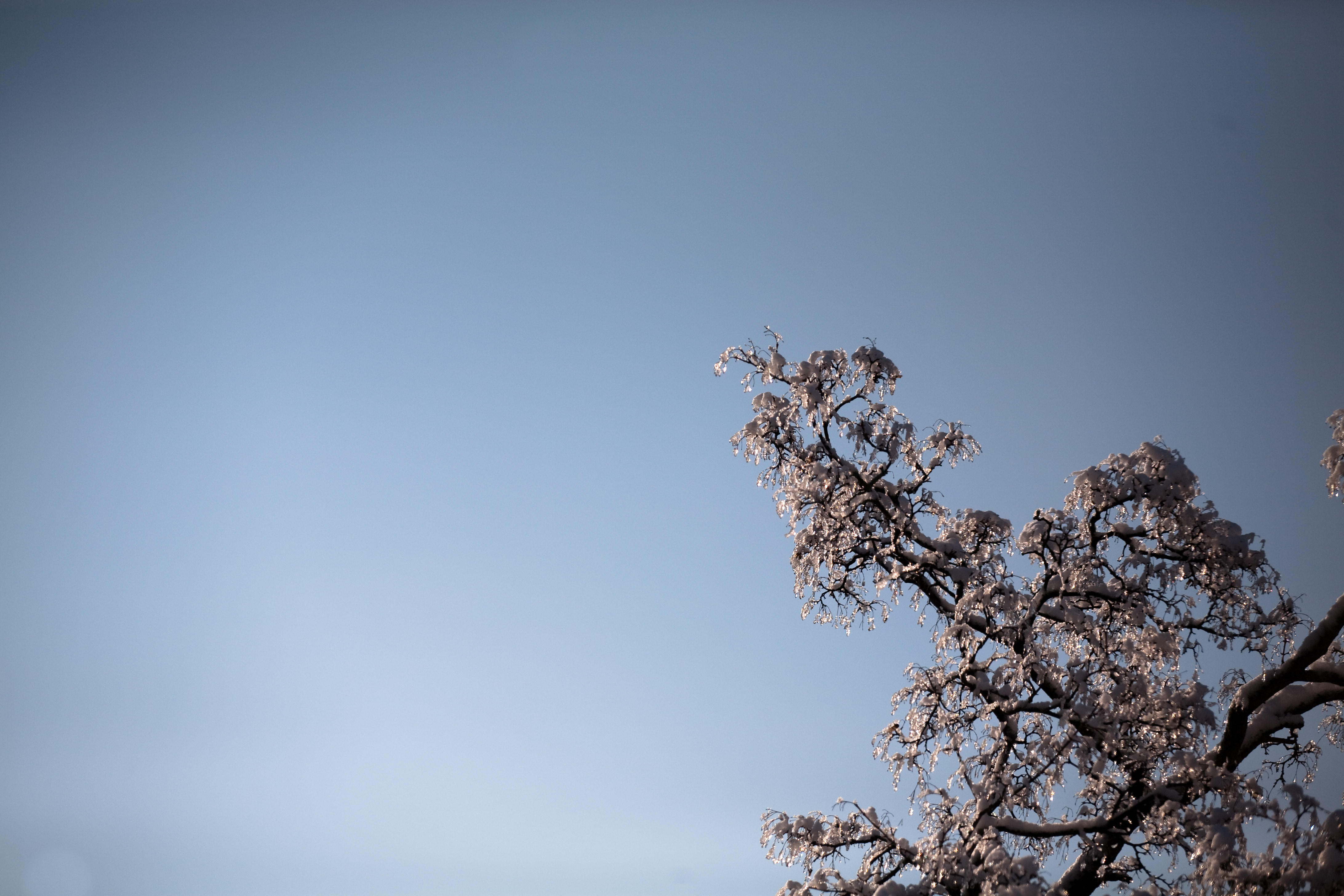 First snowstorm, November 2009