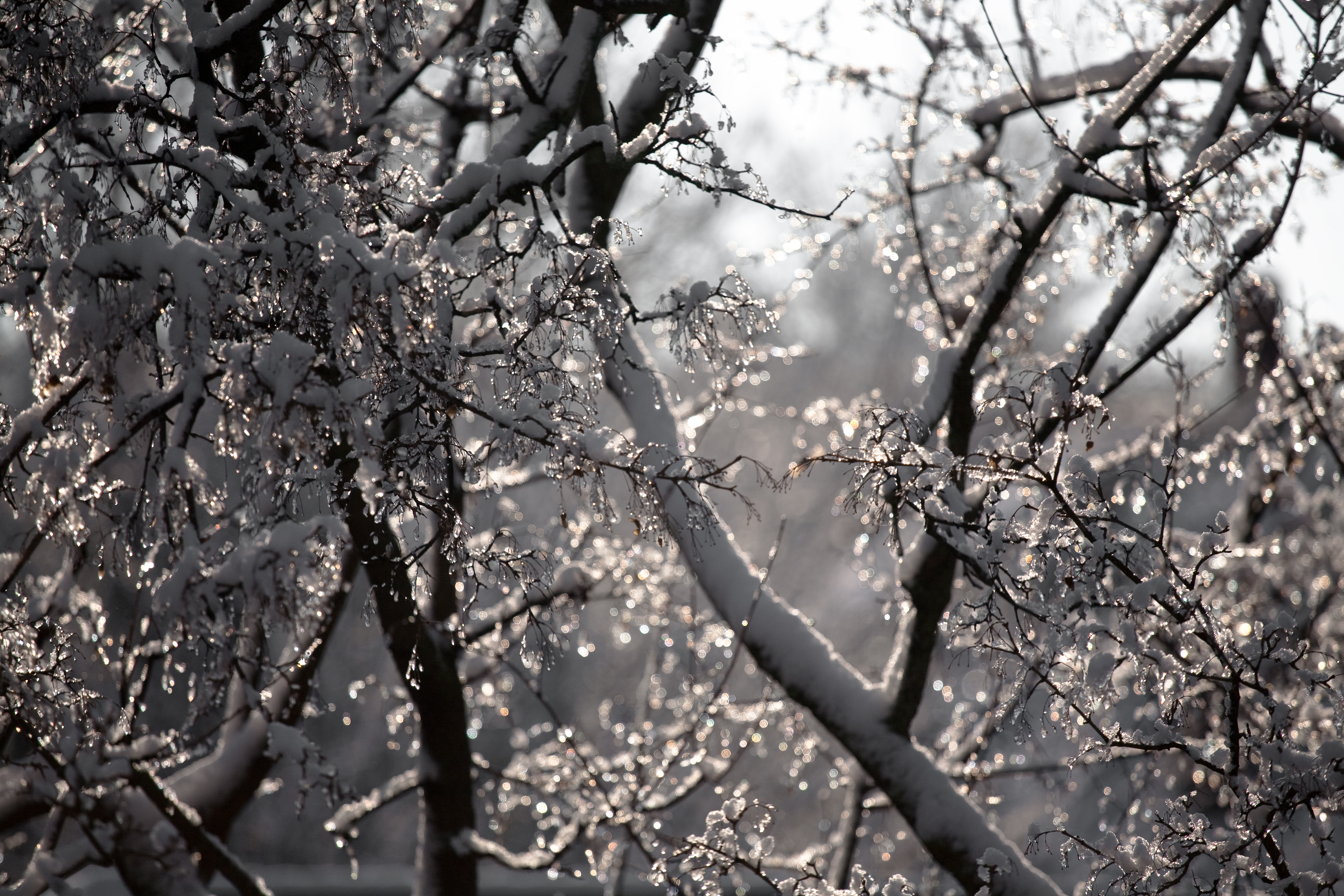 First snowstorm, November 2009