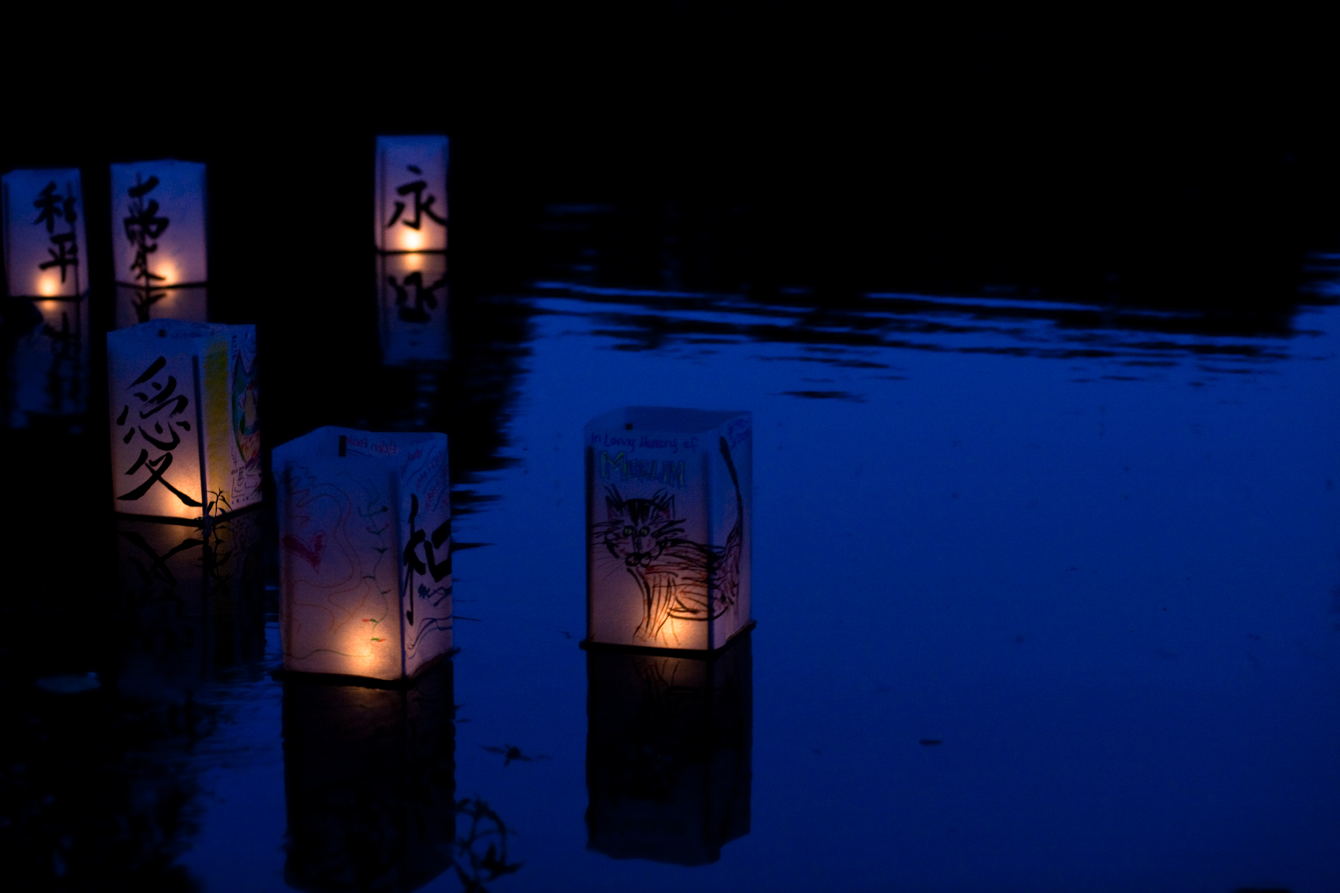 Forest Hills Lantern Festival