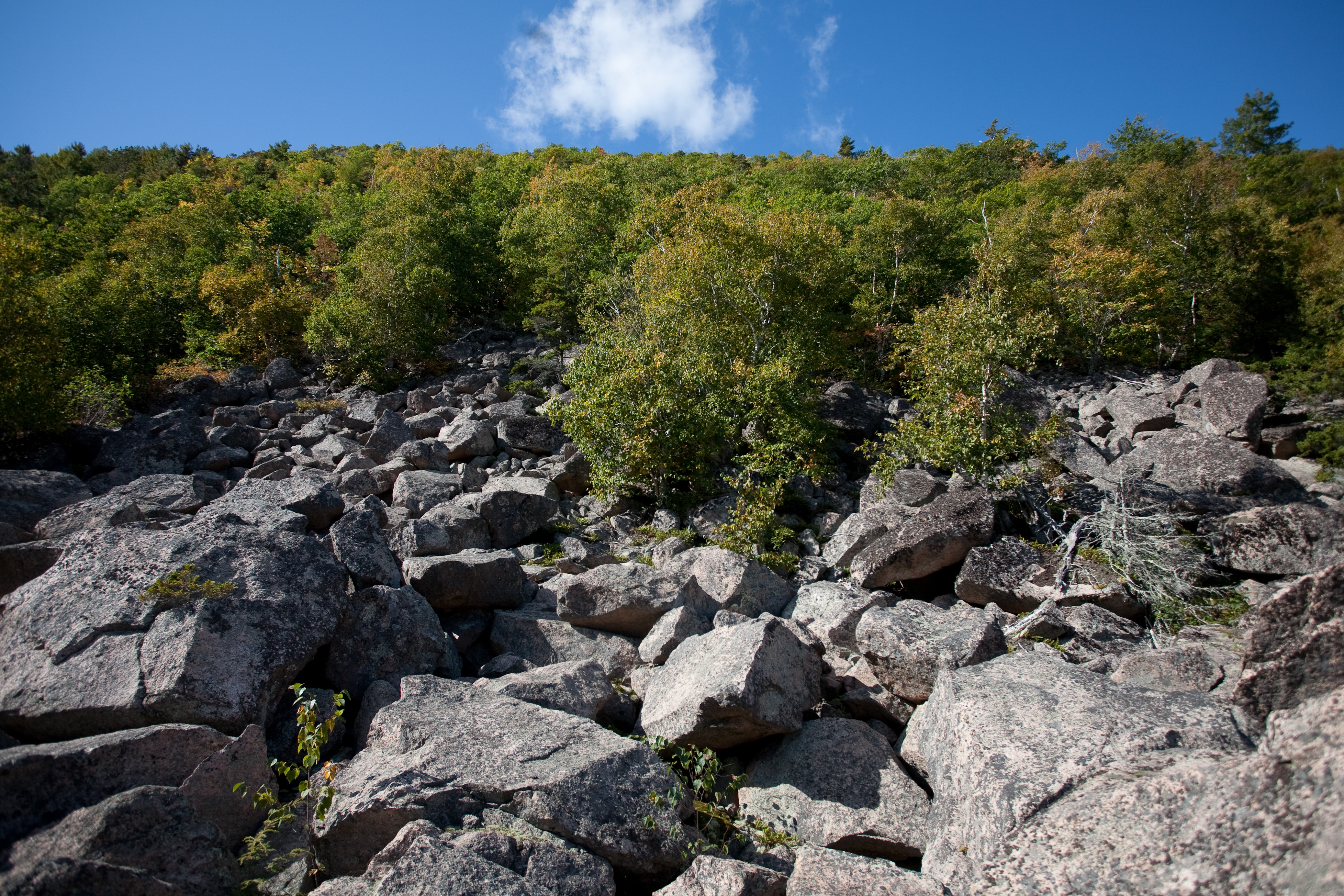 Rocks near The Tarn