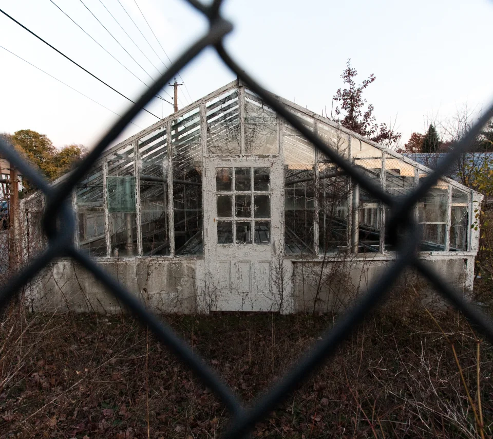 Abandoned greenhouse