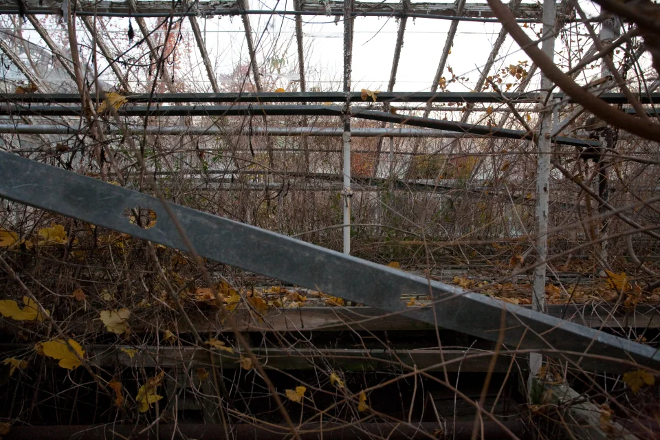 Abandoned greenhouse