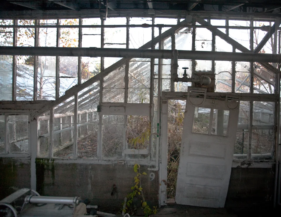 Abandoned greenhouse