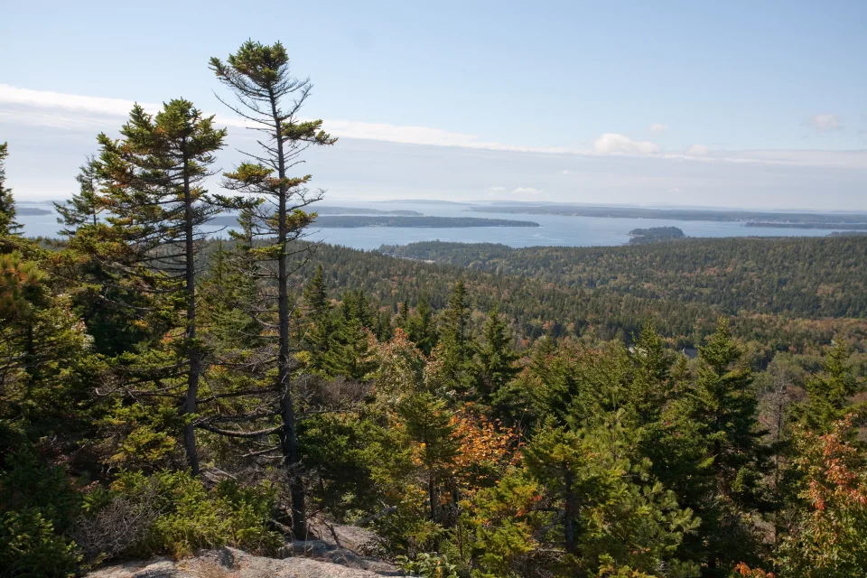 Atop Gorham Mountain