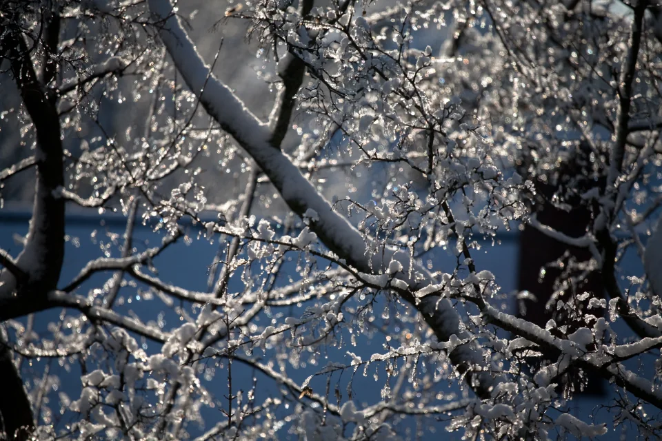 First snowstorm, November 2009