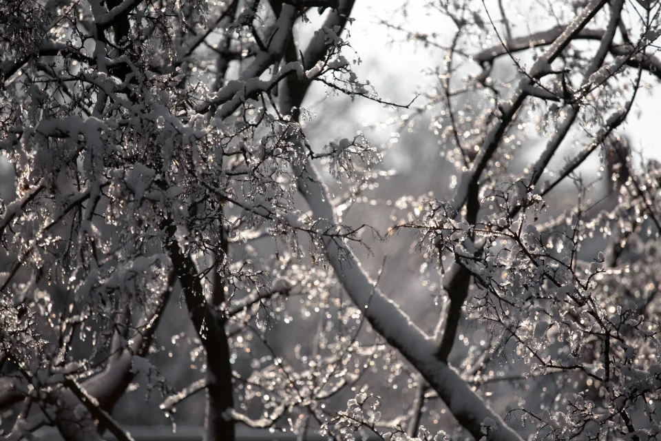 First snowstorm, November 2009