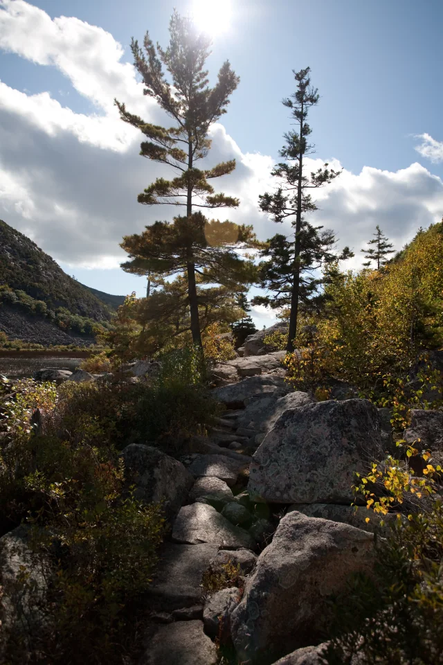 Ocean Path trail