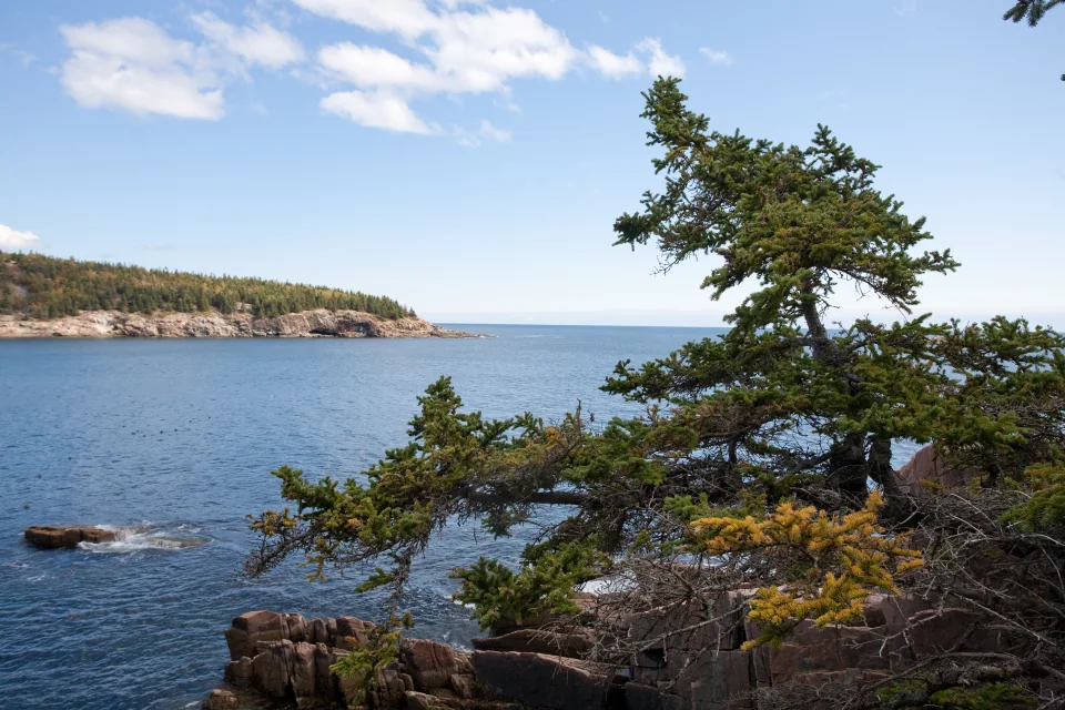 Ocean Path trail
