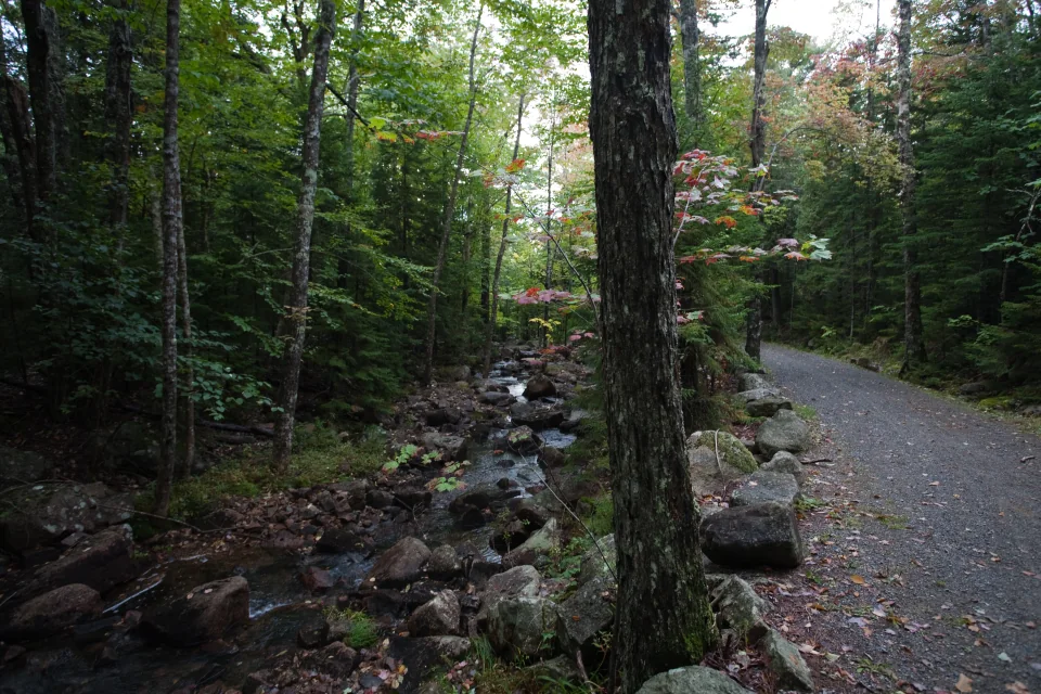 Stream and path