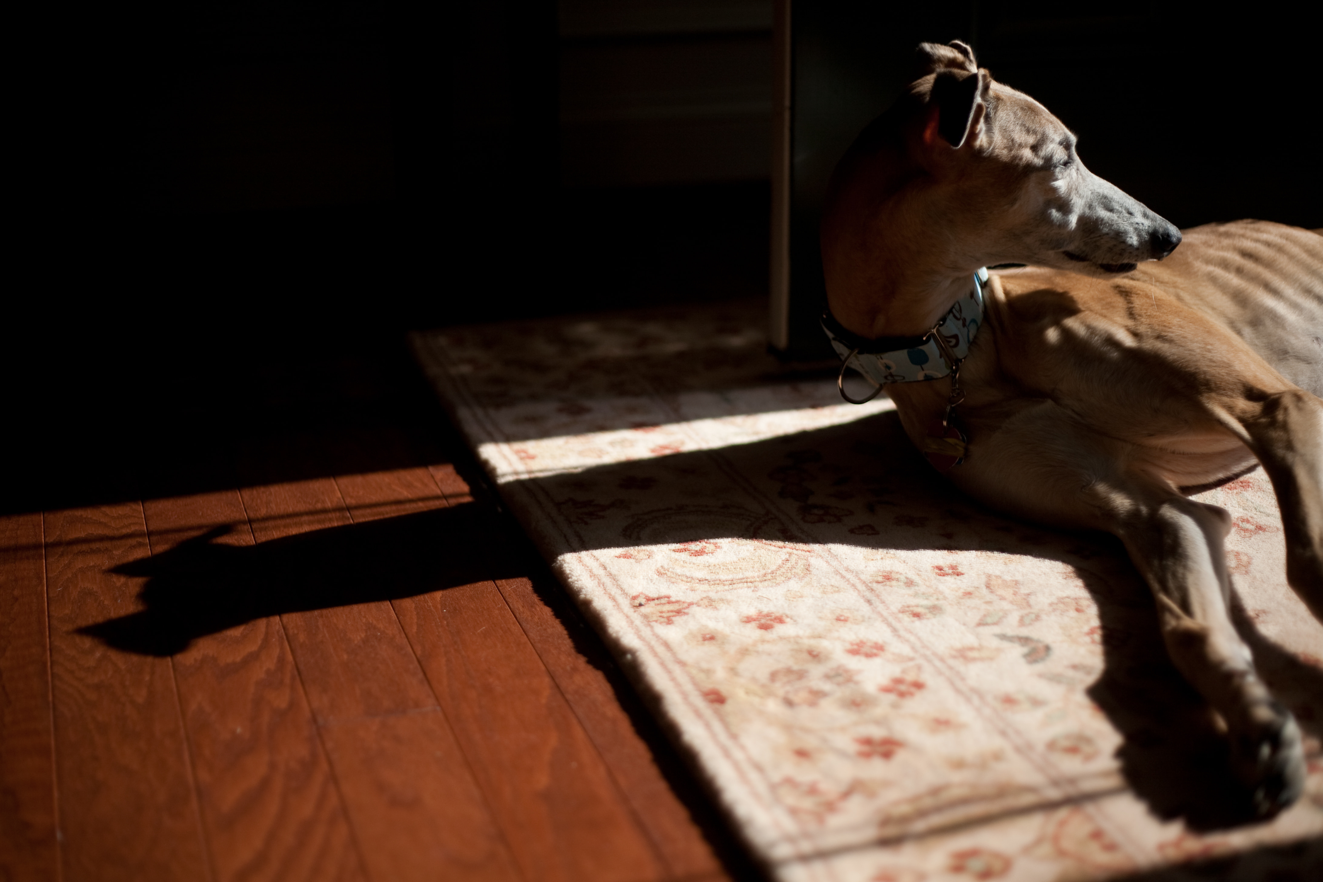 Vision at the front door