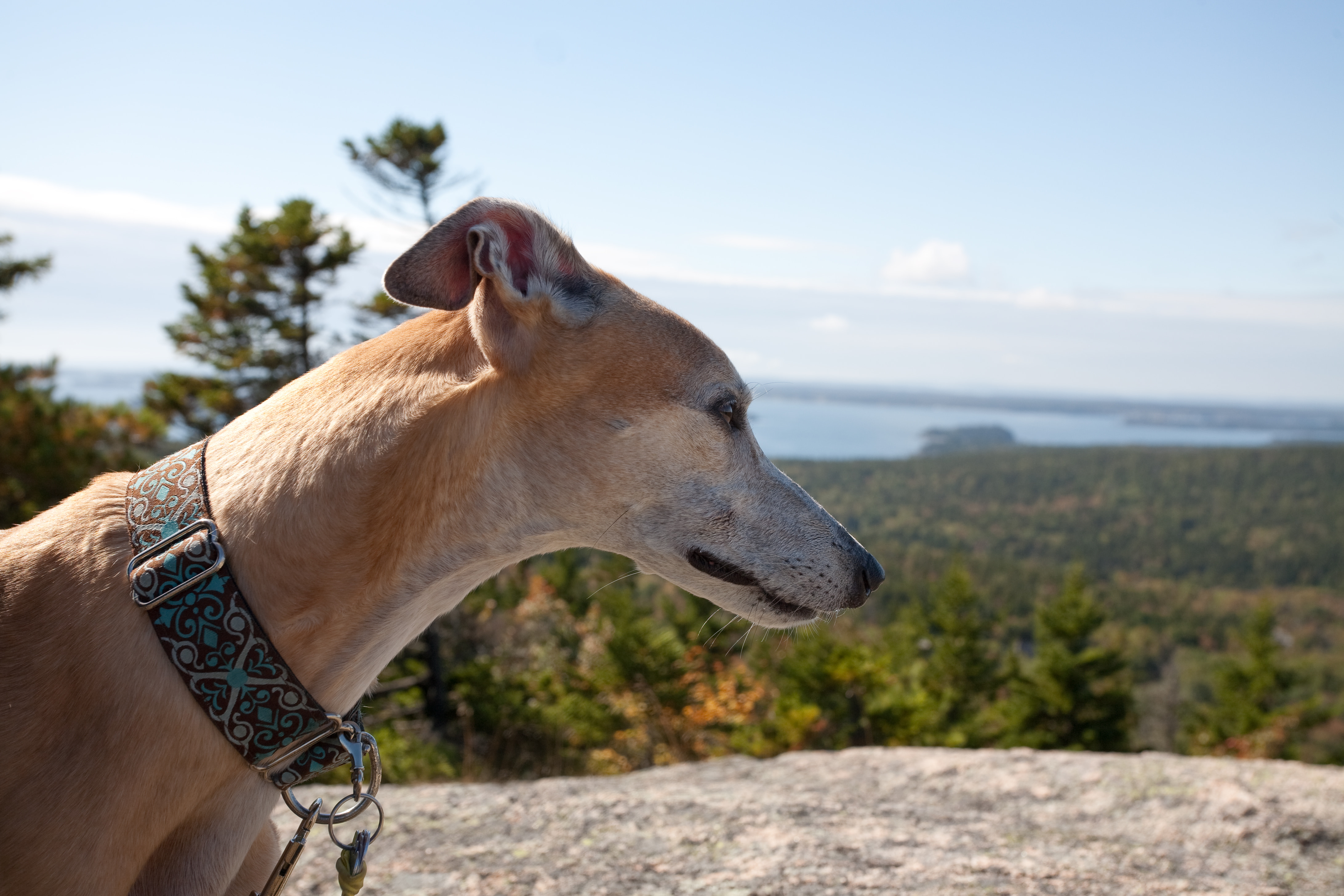 Vision on Parkman Mountain