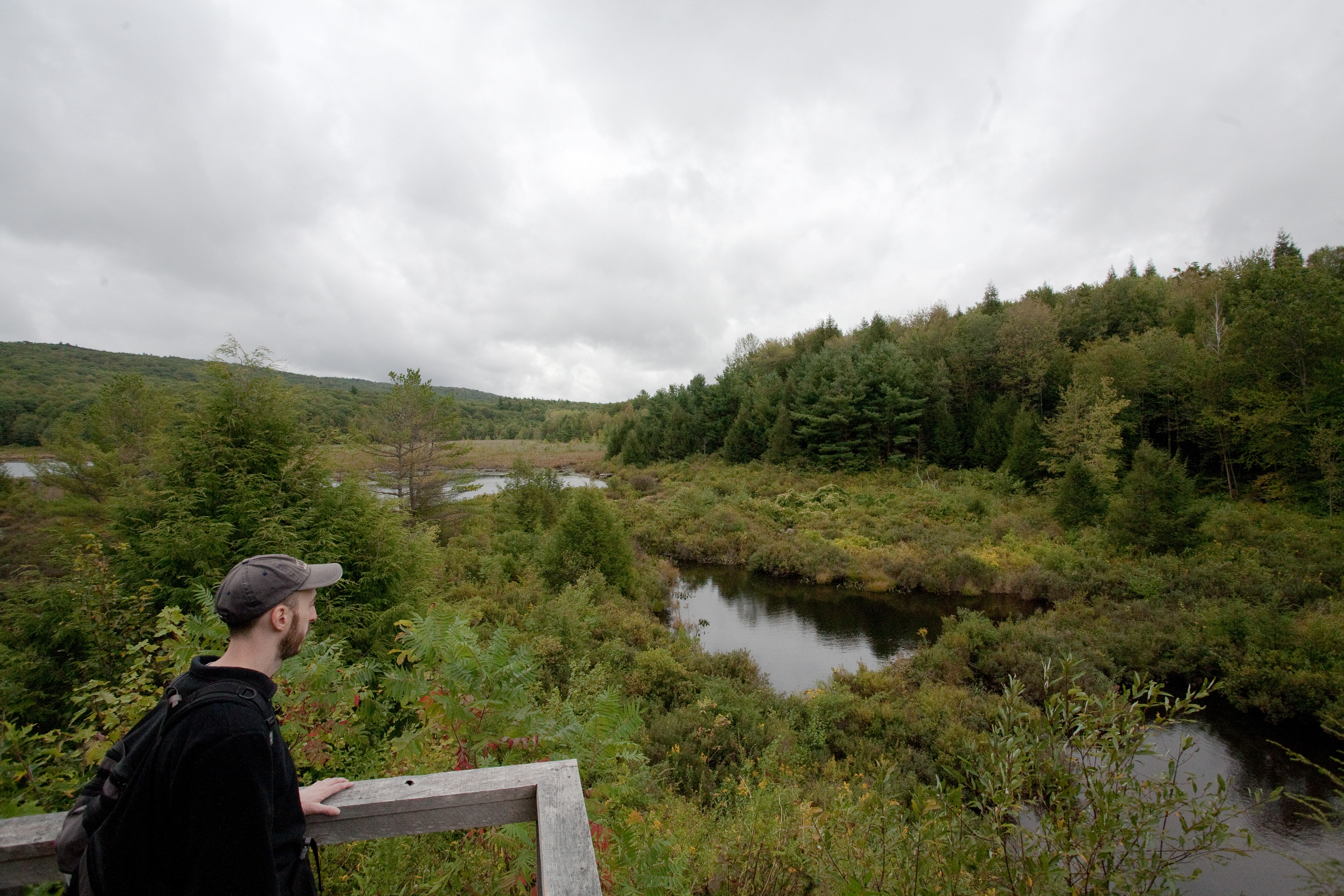 Near Beaver Dam Road, Lee, MA