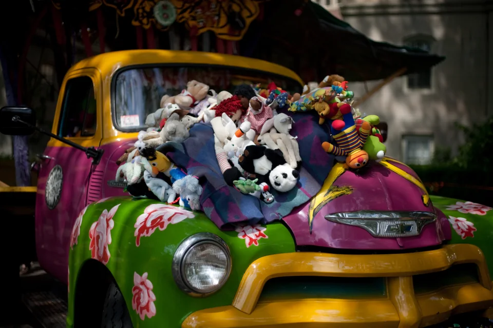 Fuzzy car