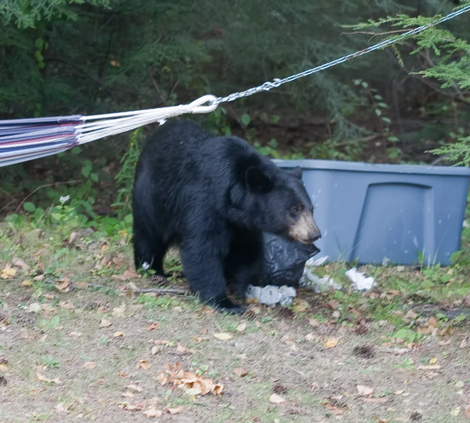 Garbage collector