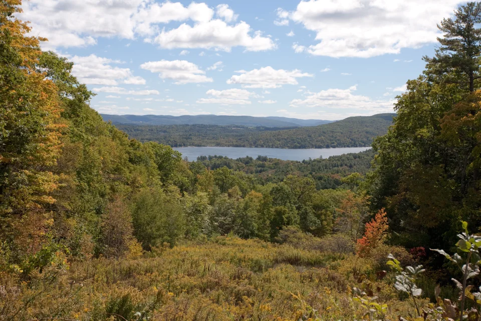 Overlook
