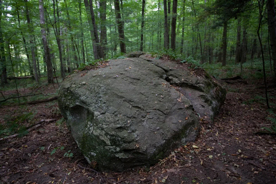 Rock
