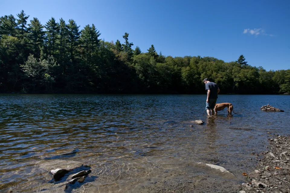 Upper Goose Pond