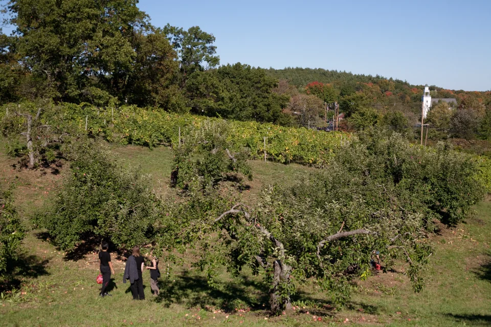 Winery at Nashoba Valley