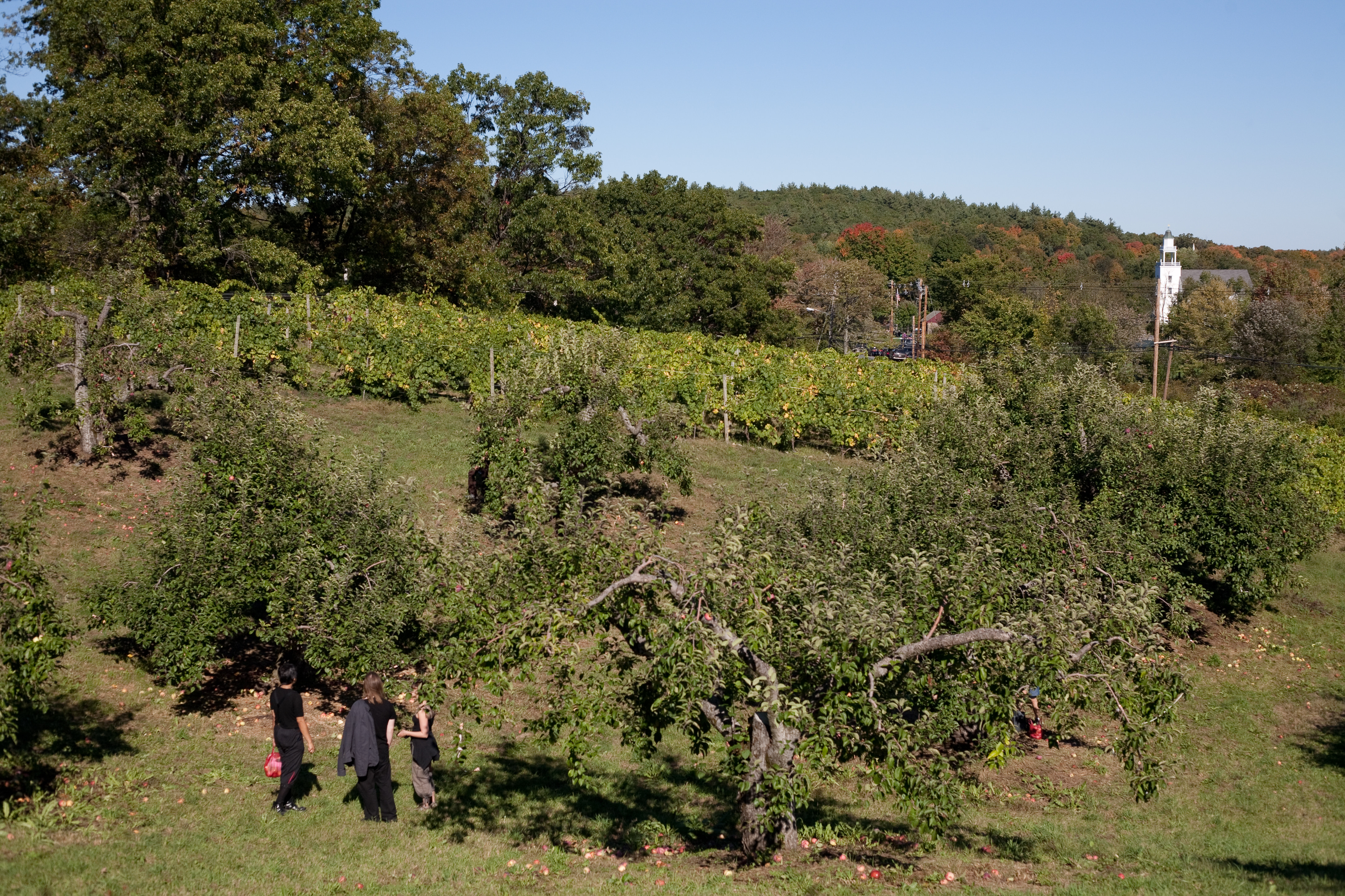 Winery at Nashoba Valley