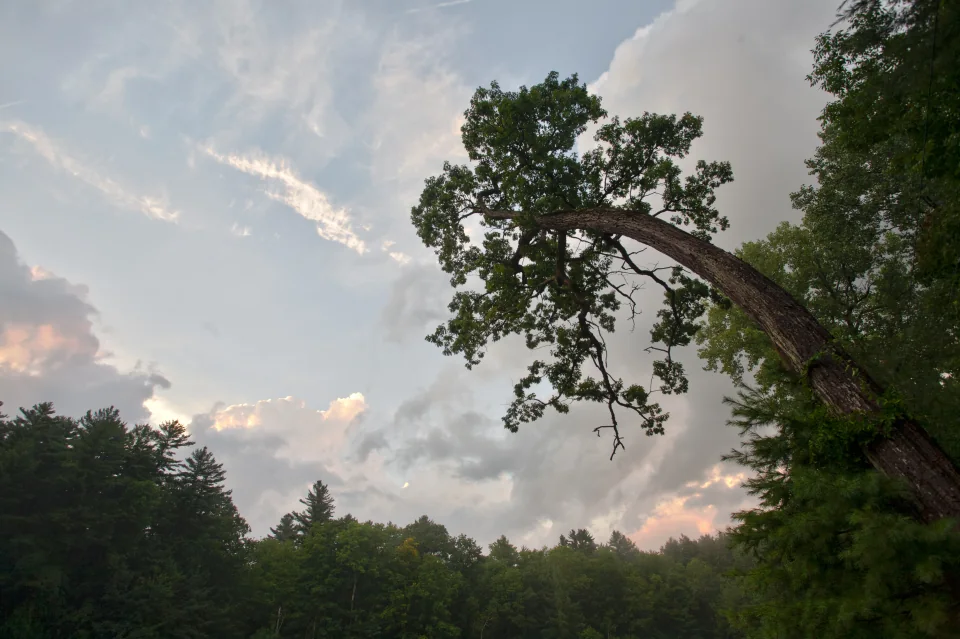 Berkshires