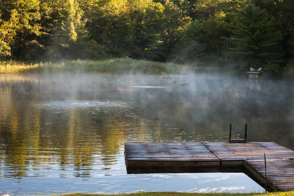 Dawn fog
