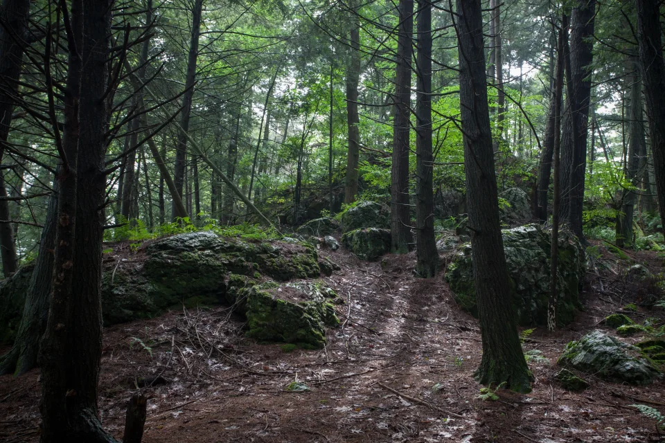 Path