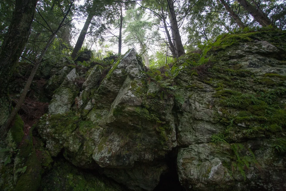 Rocks