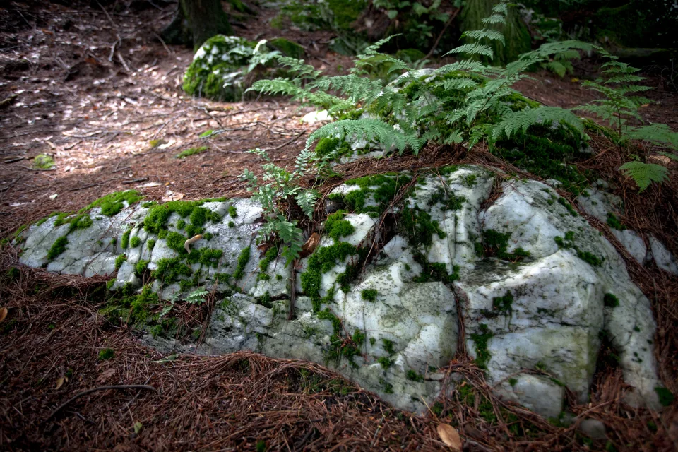Rocks