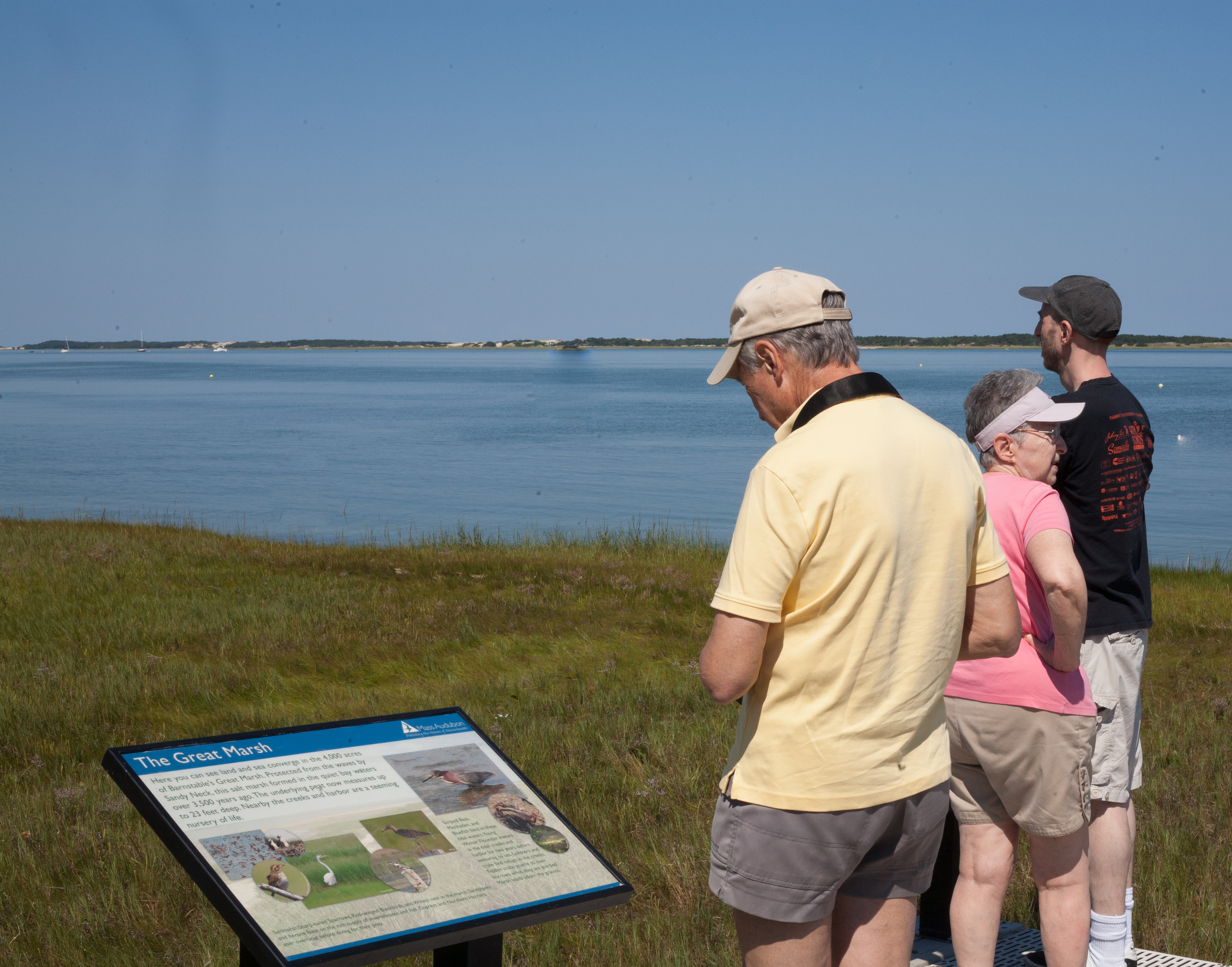 Great Marsh overlook