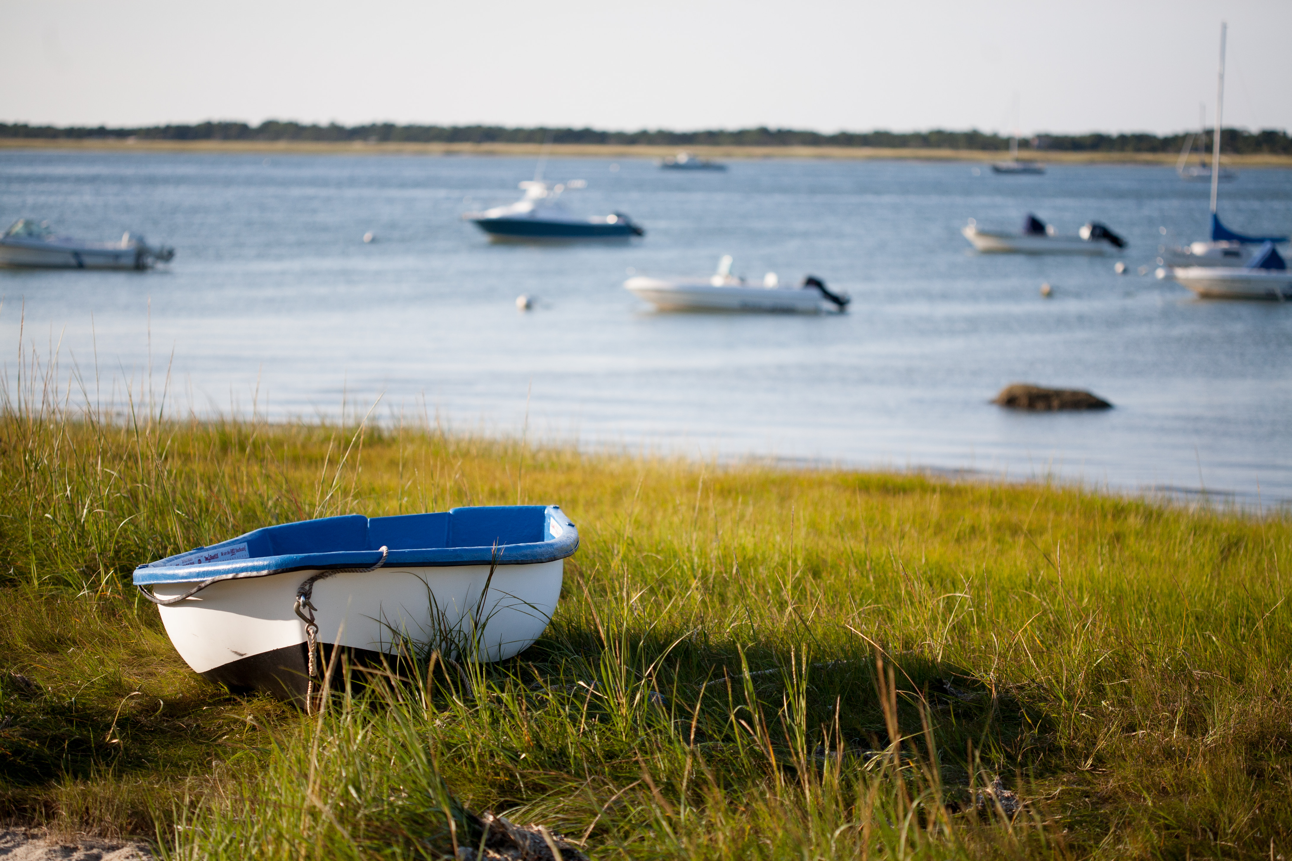 Dinghy in the marsh
