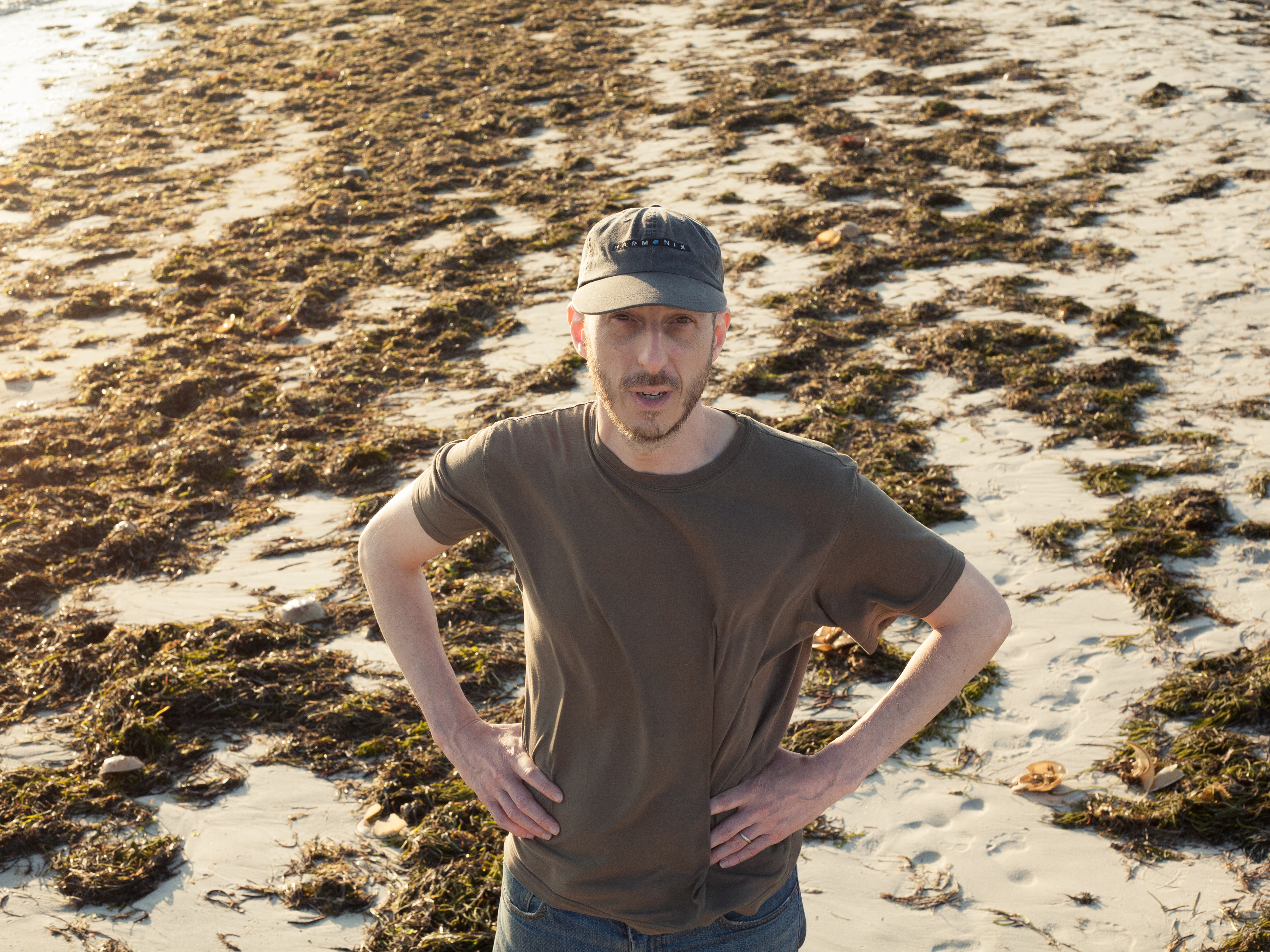 On the seaweed beach