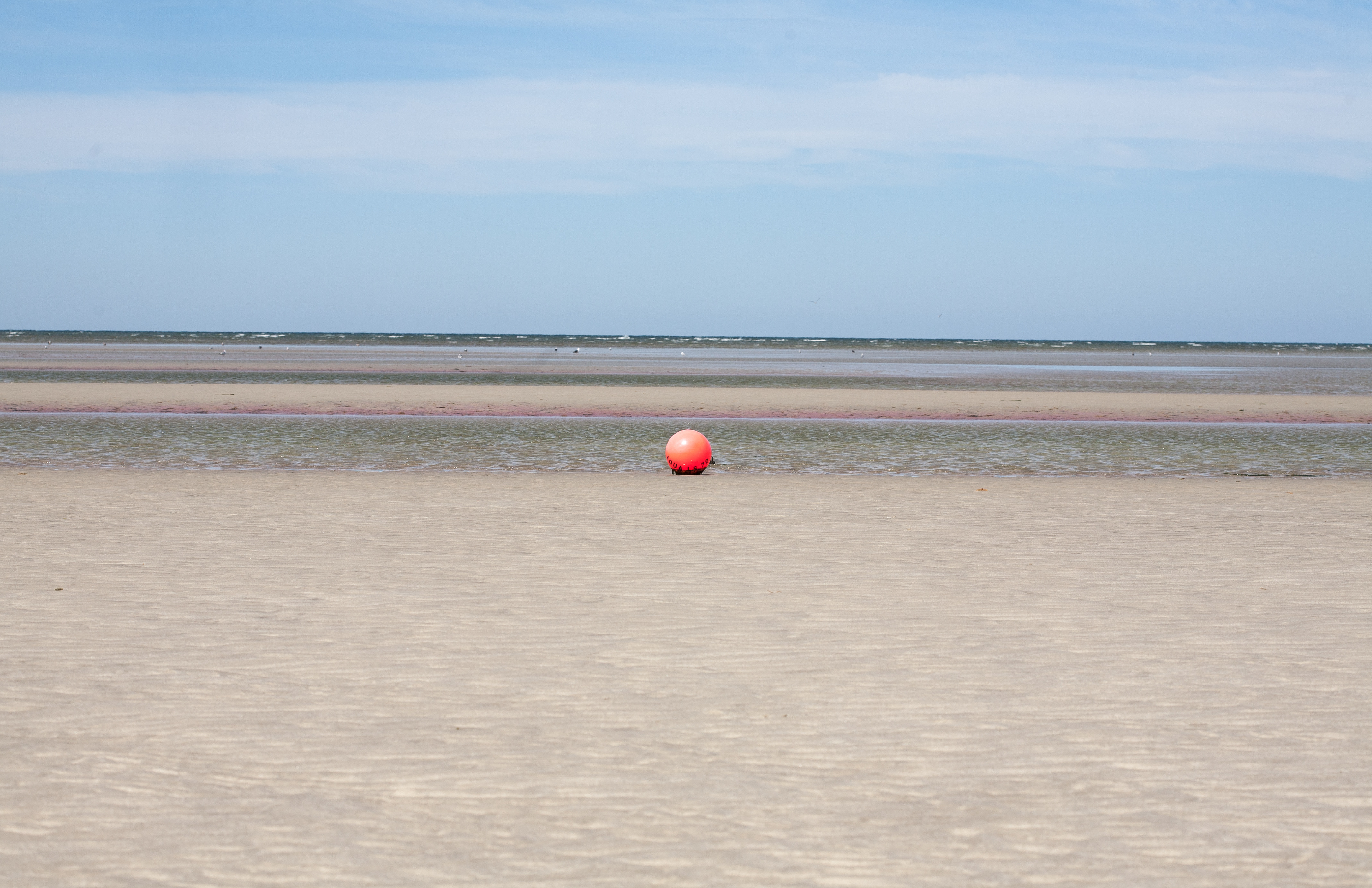 Orange buoy on sand flat