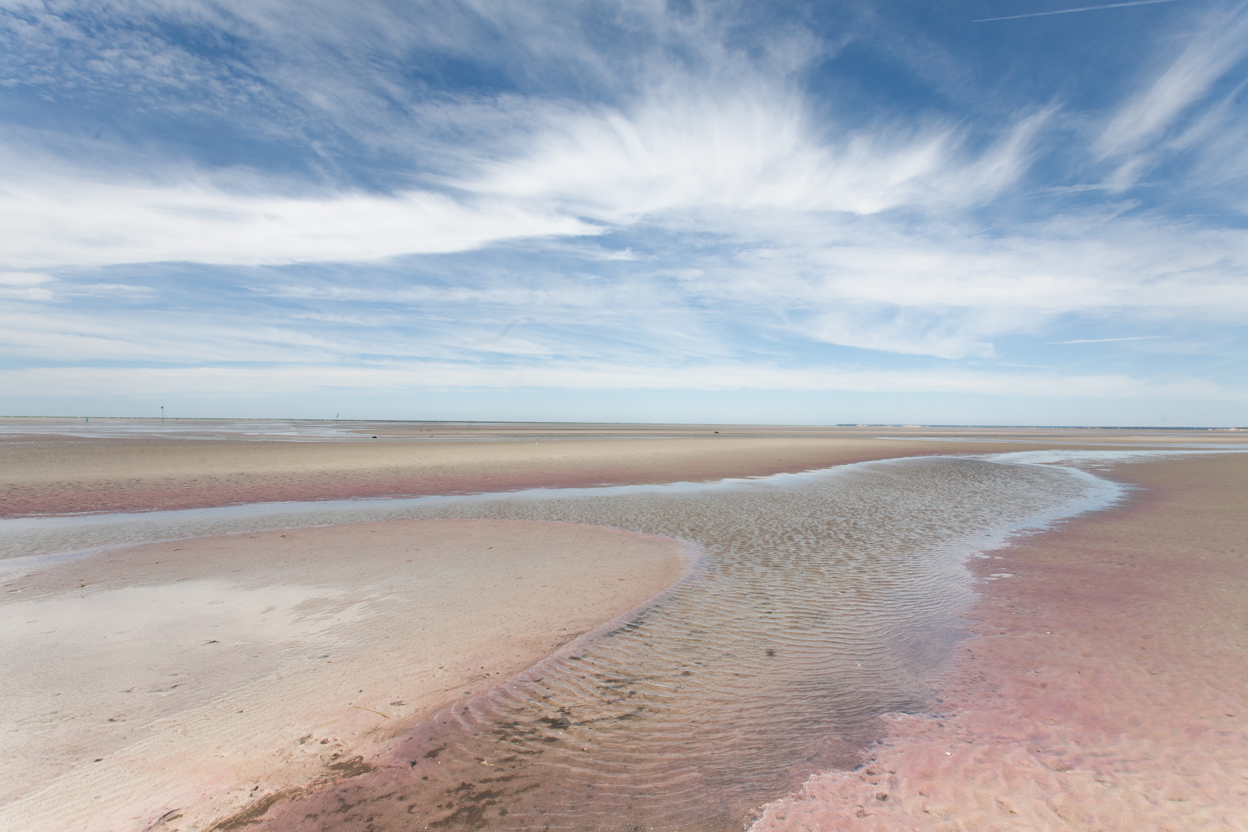 Tidal flats at low tide