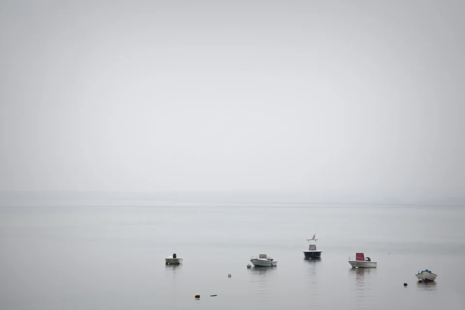 Fog