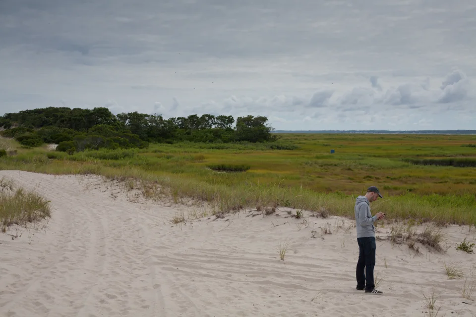 Dunes and salt marsh