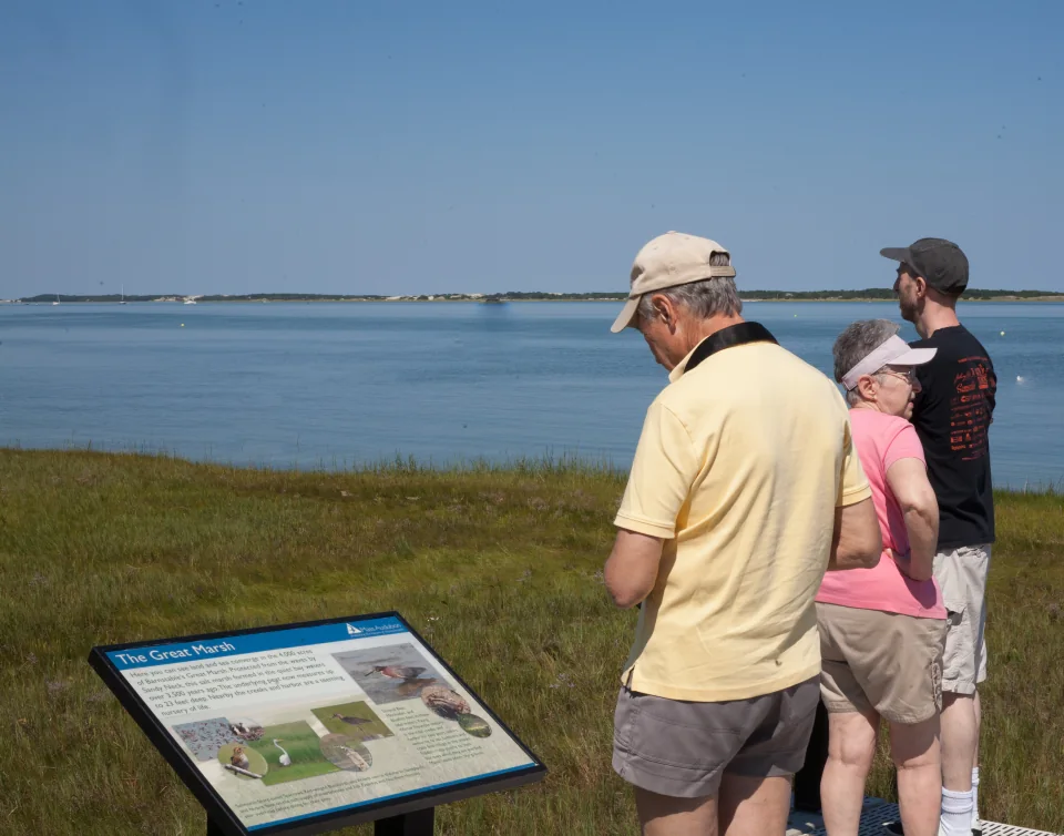 Great Marsh overlook