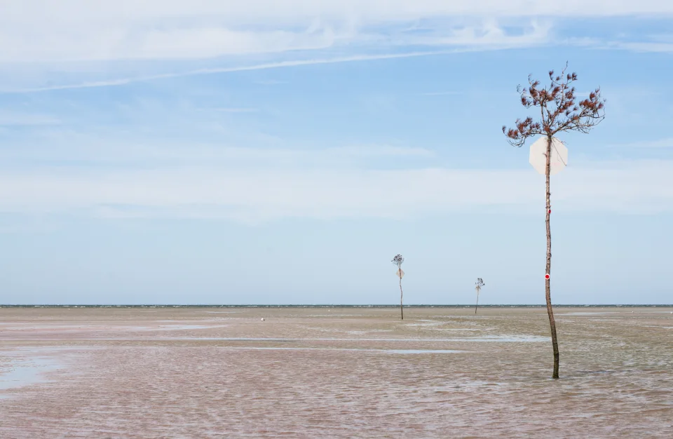Channel markers, low tide