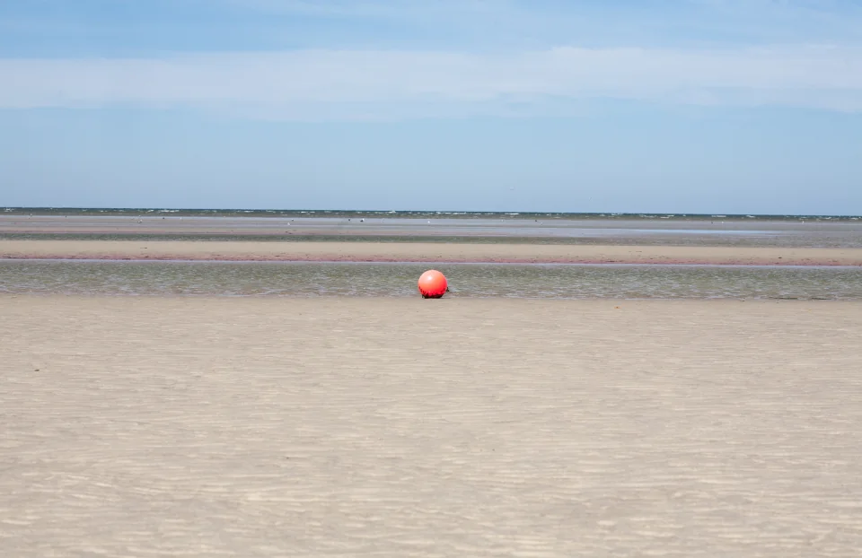 Orange buoy on sand flat